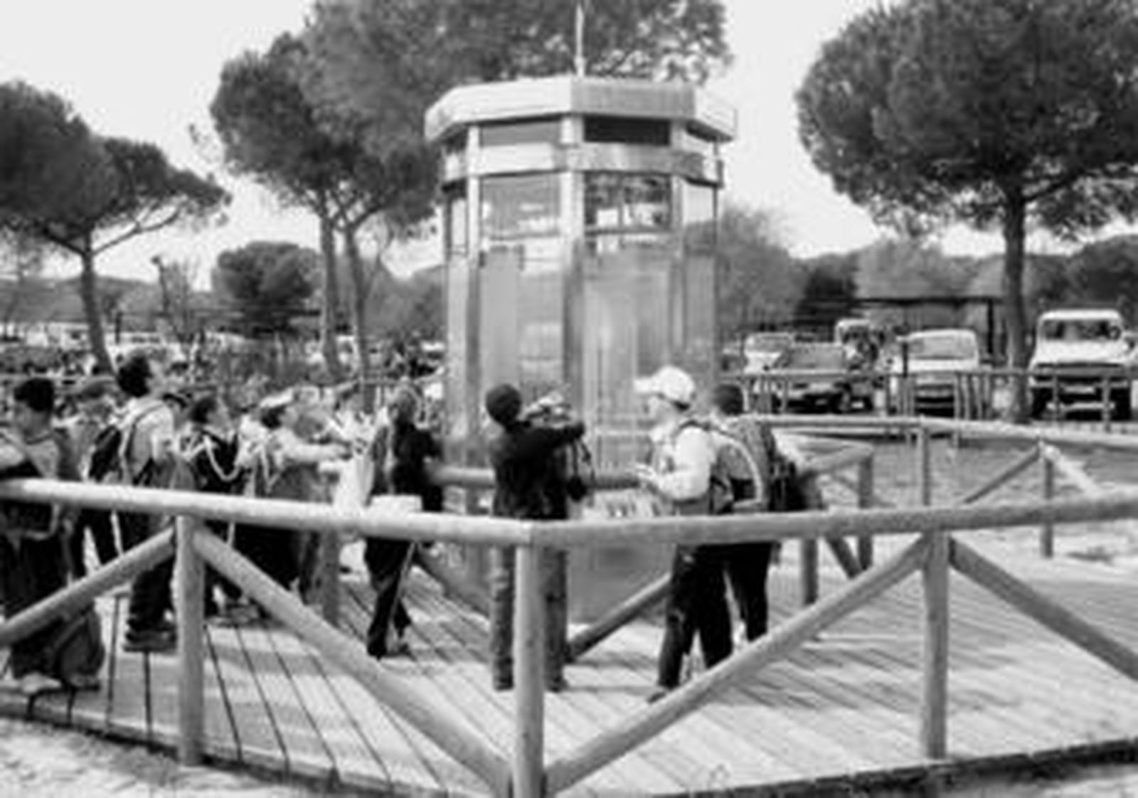 Doñana a vista de niños
