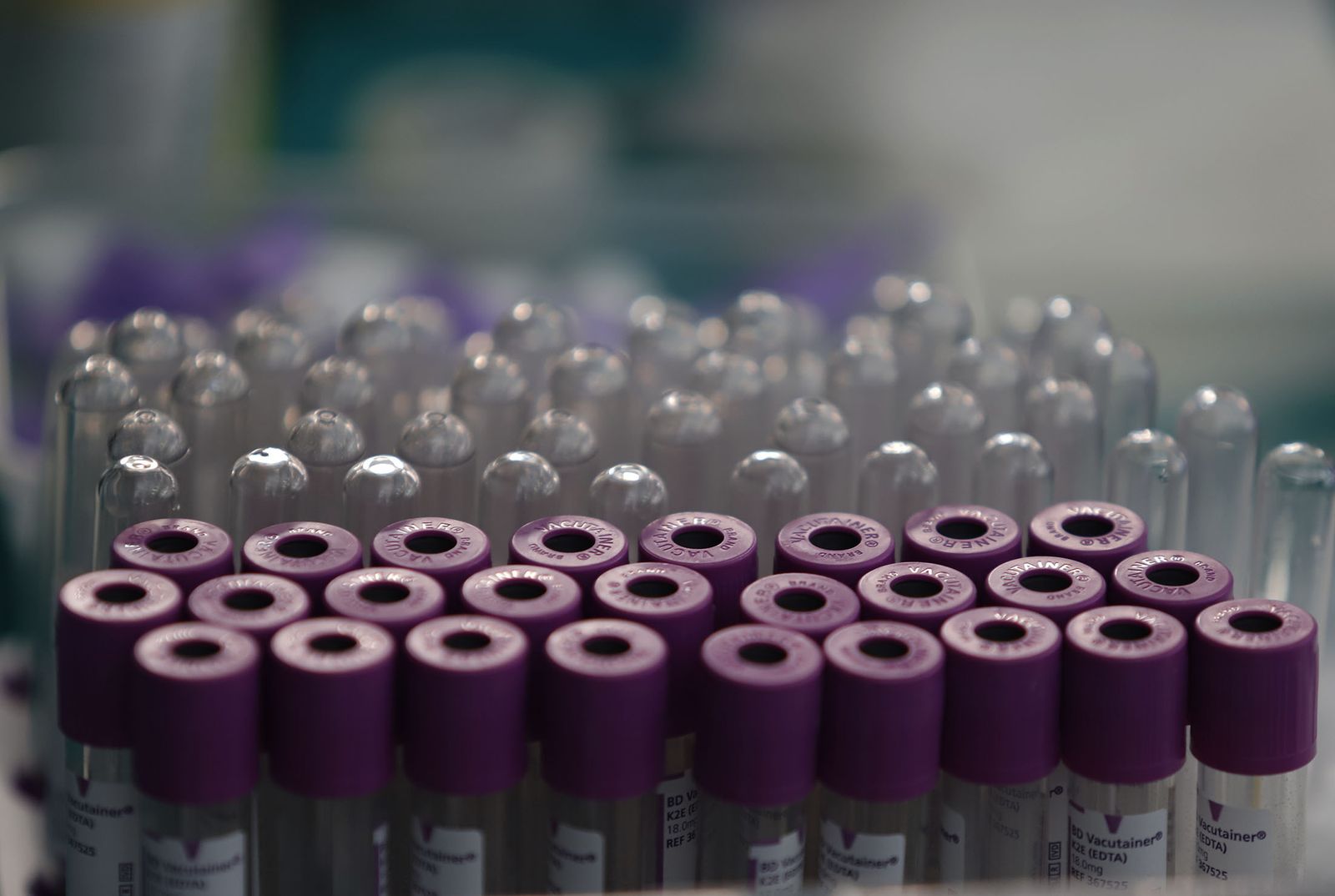 Macrocolecta de sangre en la Casa Colón