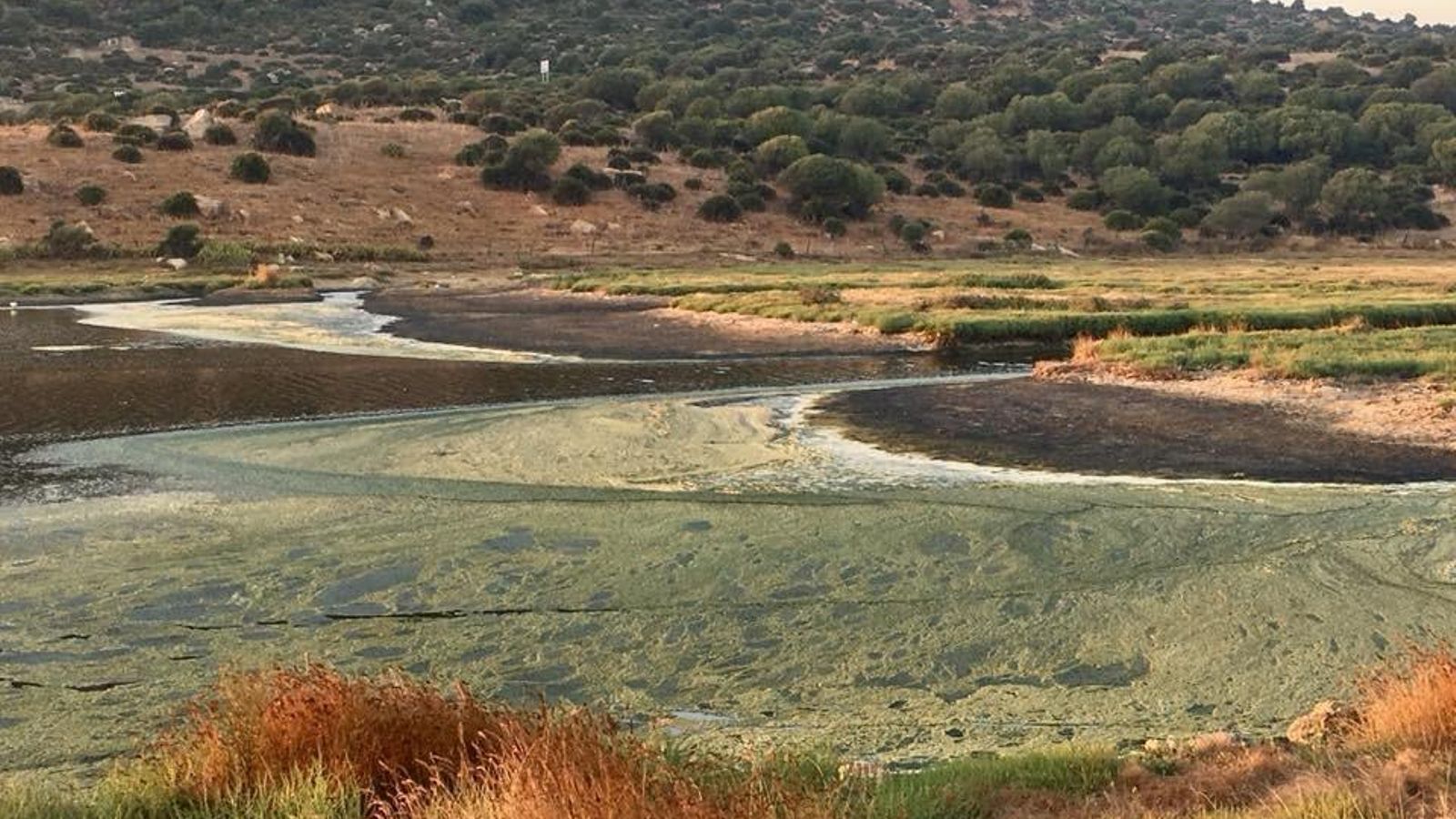 El río Cachón, en Zahara de los Atunes, en una imagen tomada el pasado verano. El río Cachón, en Zahara de los Atunes, en una imagen tomada el pasado verano.