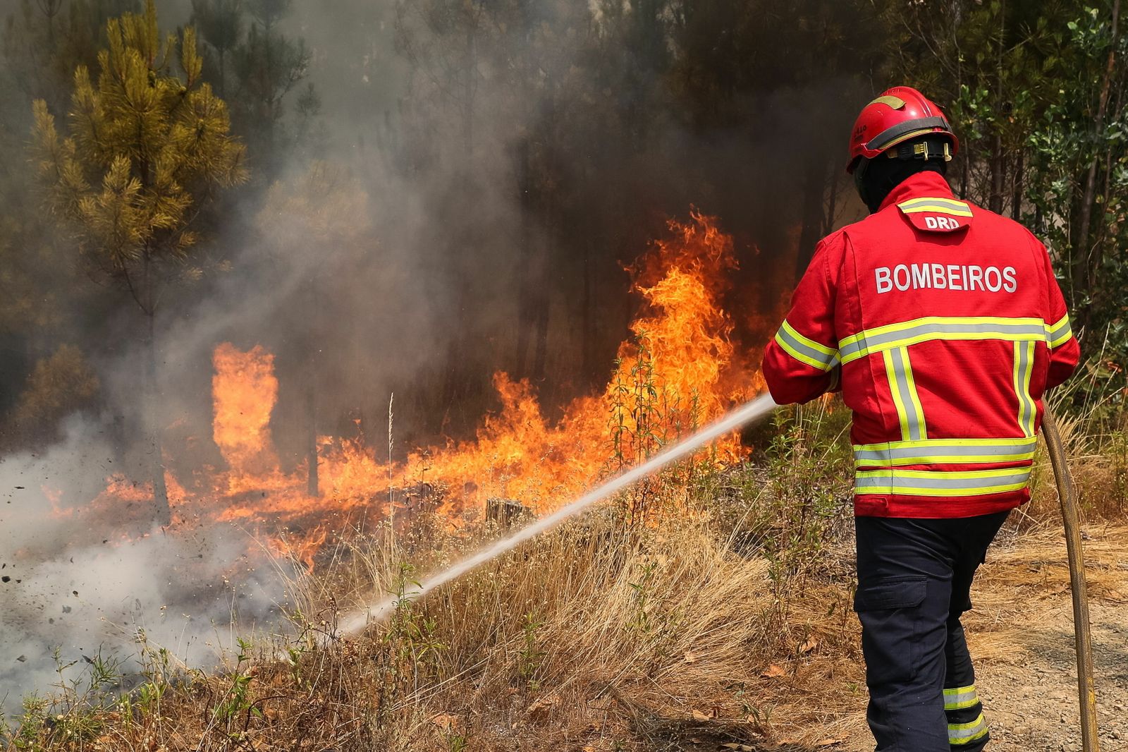 La extinción del incendio del centro de Portugal, en imágenes