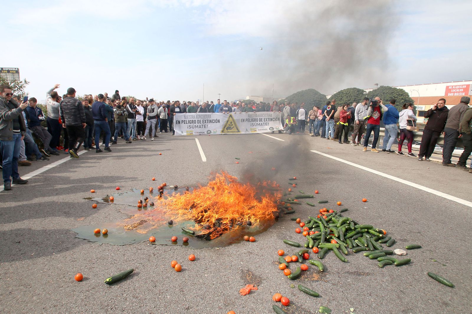 Las imágenes de la manifestación de agricultores