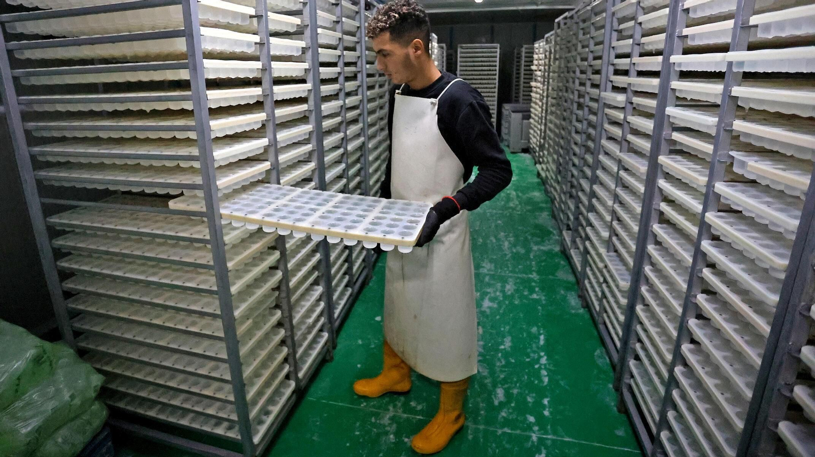 Moldes de hielo en la cámara frigorífica de la fábrica de la empresa Garrido y Padilla en el polígono Bertola.