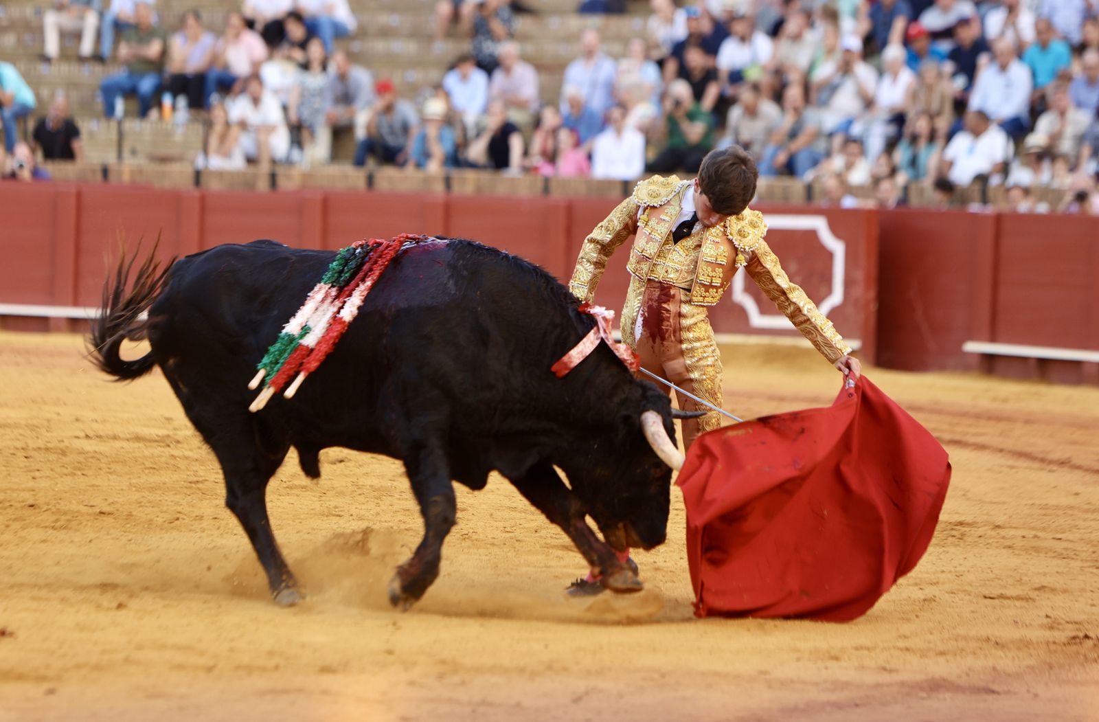 Novillada El Melli, Aarón Palacios y Manuel Jesús  Carrión