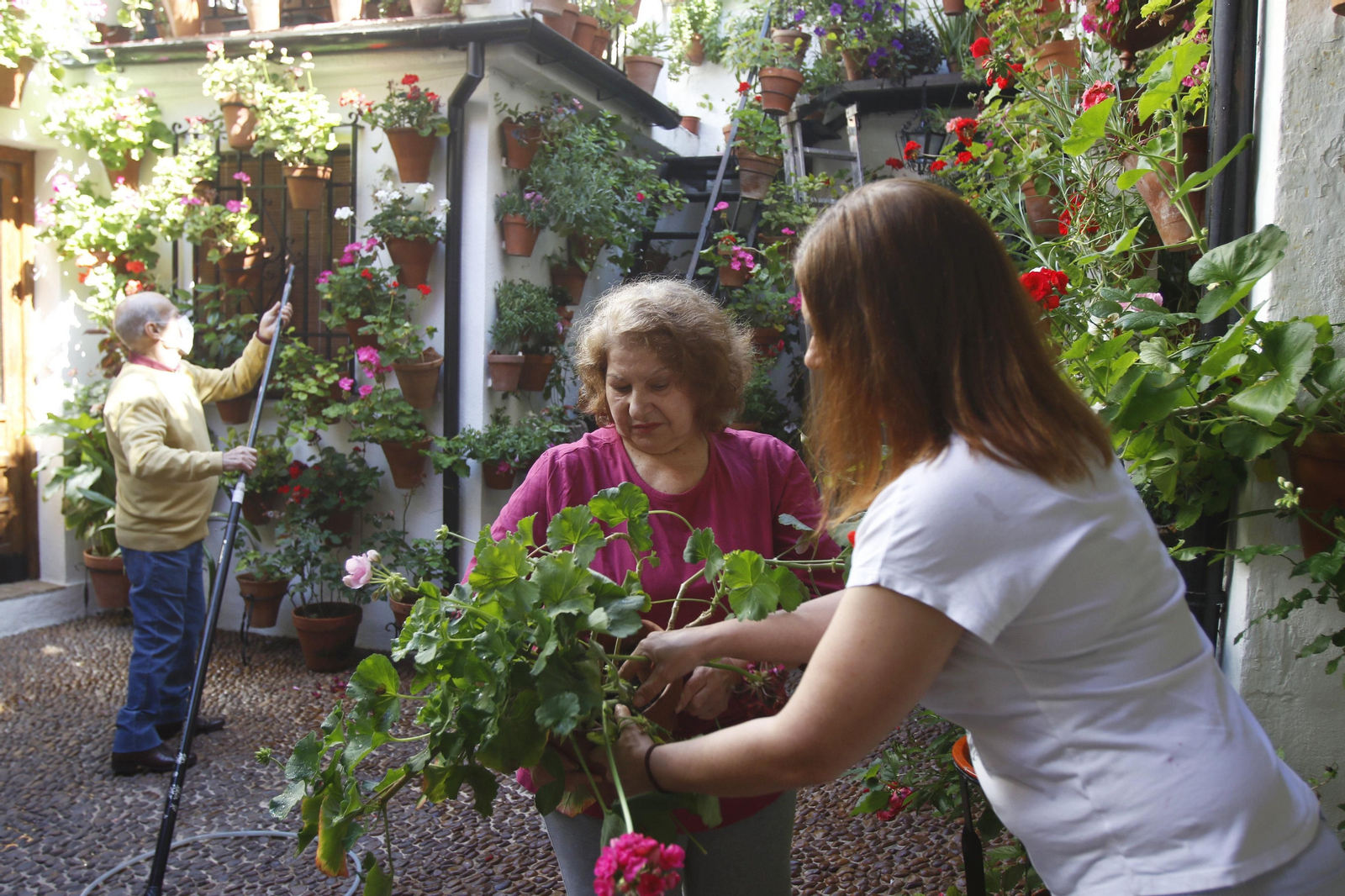 Las fotos de los patios en tiempos de crisis
