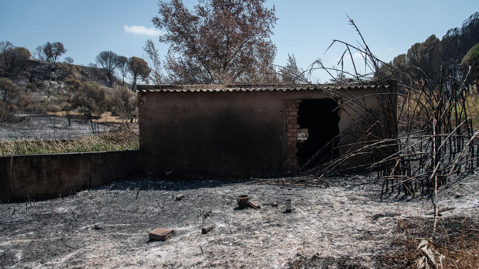 Destrozos causados por el incendio en el campo