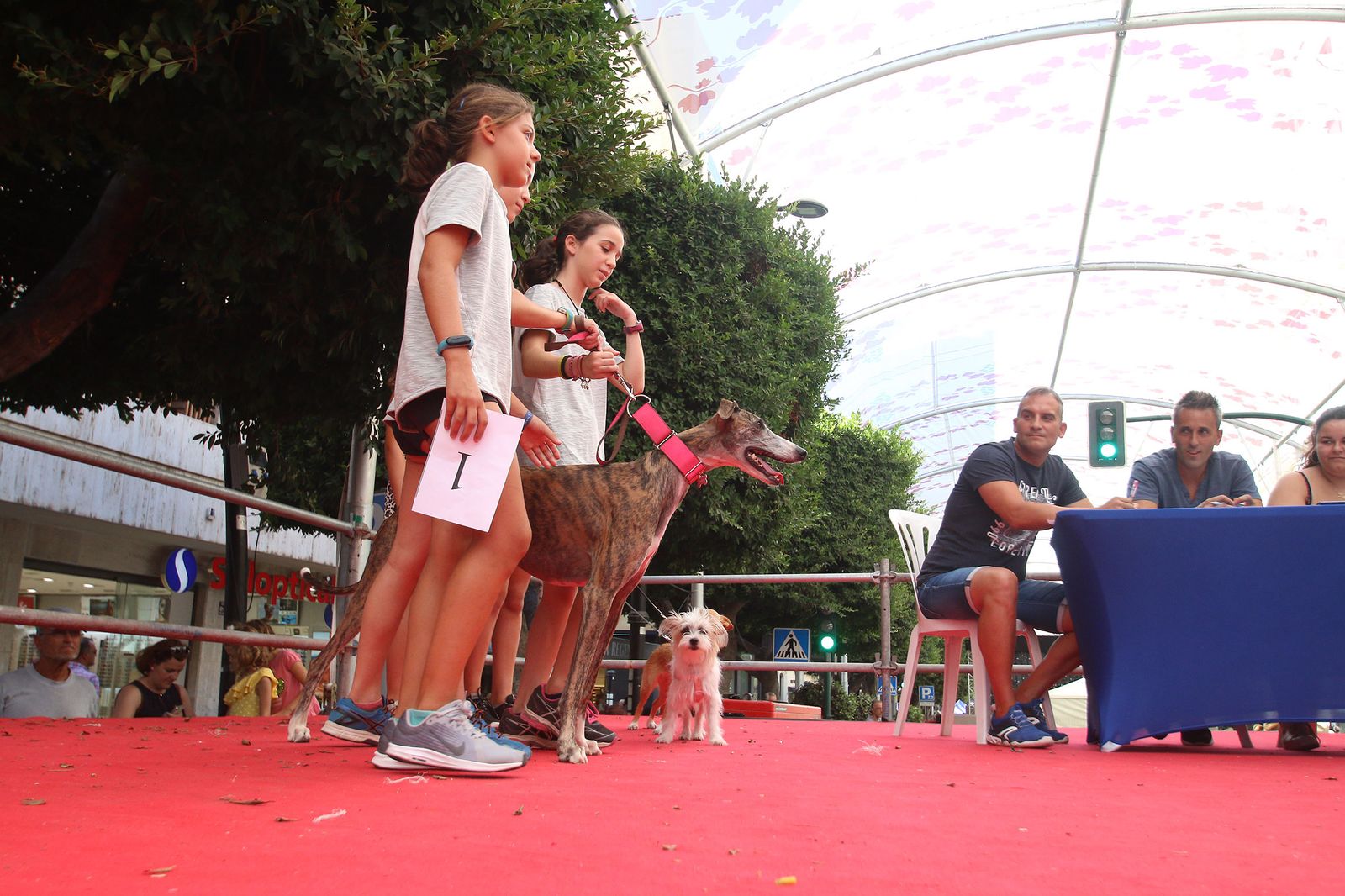 Fotogalería del concurso canino. Feria de Almería 2019