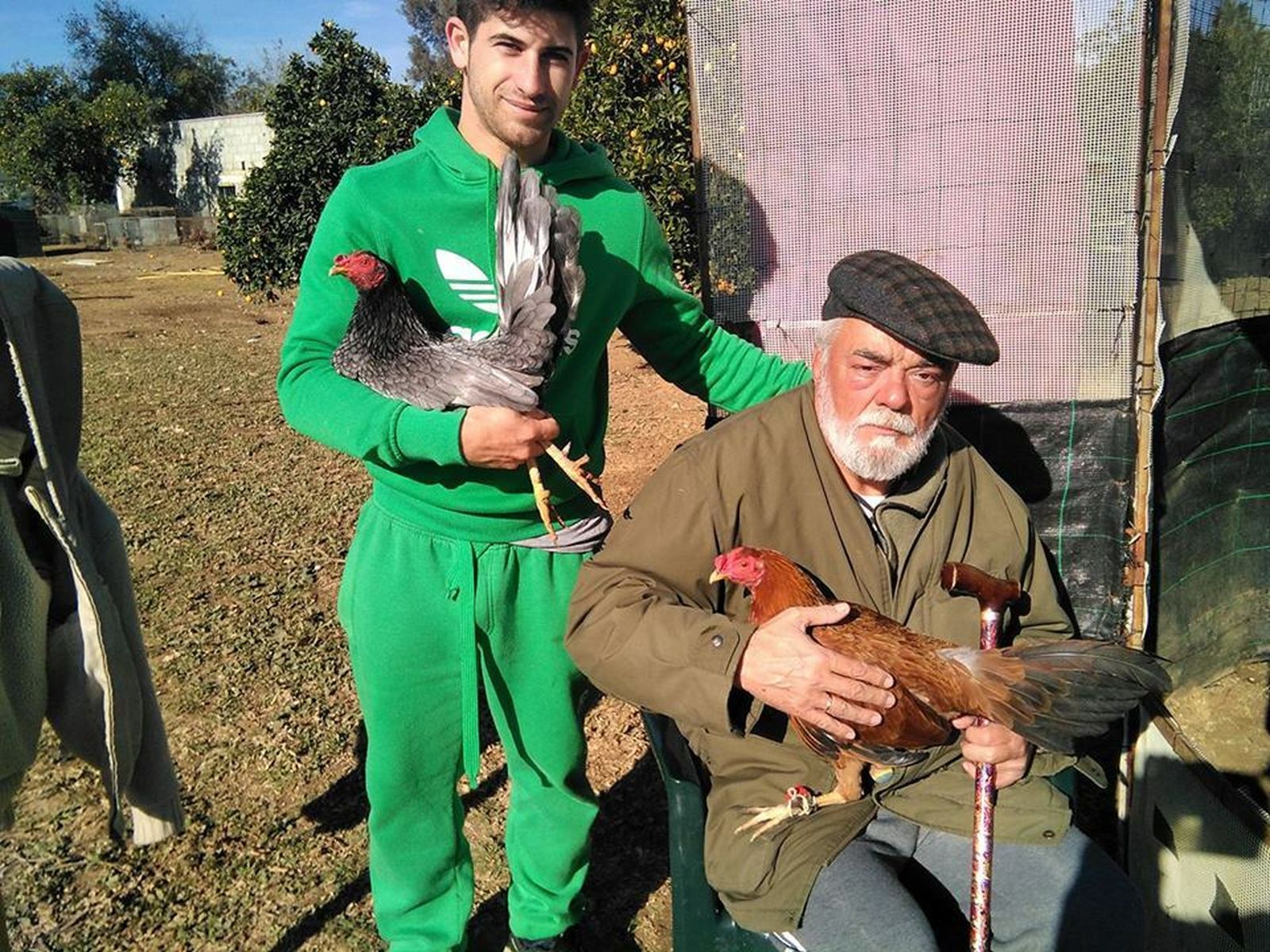 Aficionados a las riñas de gallos en Vélez-Málaga aportada por Vox.