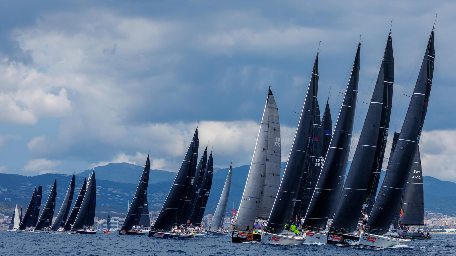 ORCA A Vela Regata (18).jpg