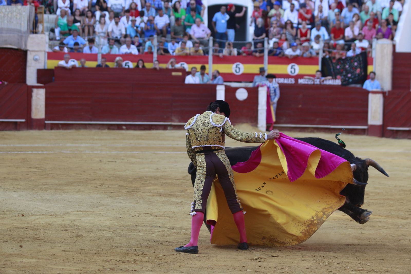 Imágenes del triunfo del torero almeriense Jorge Martínez el día de su alternativa
