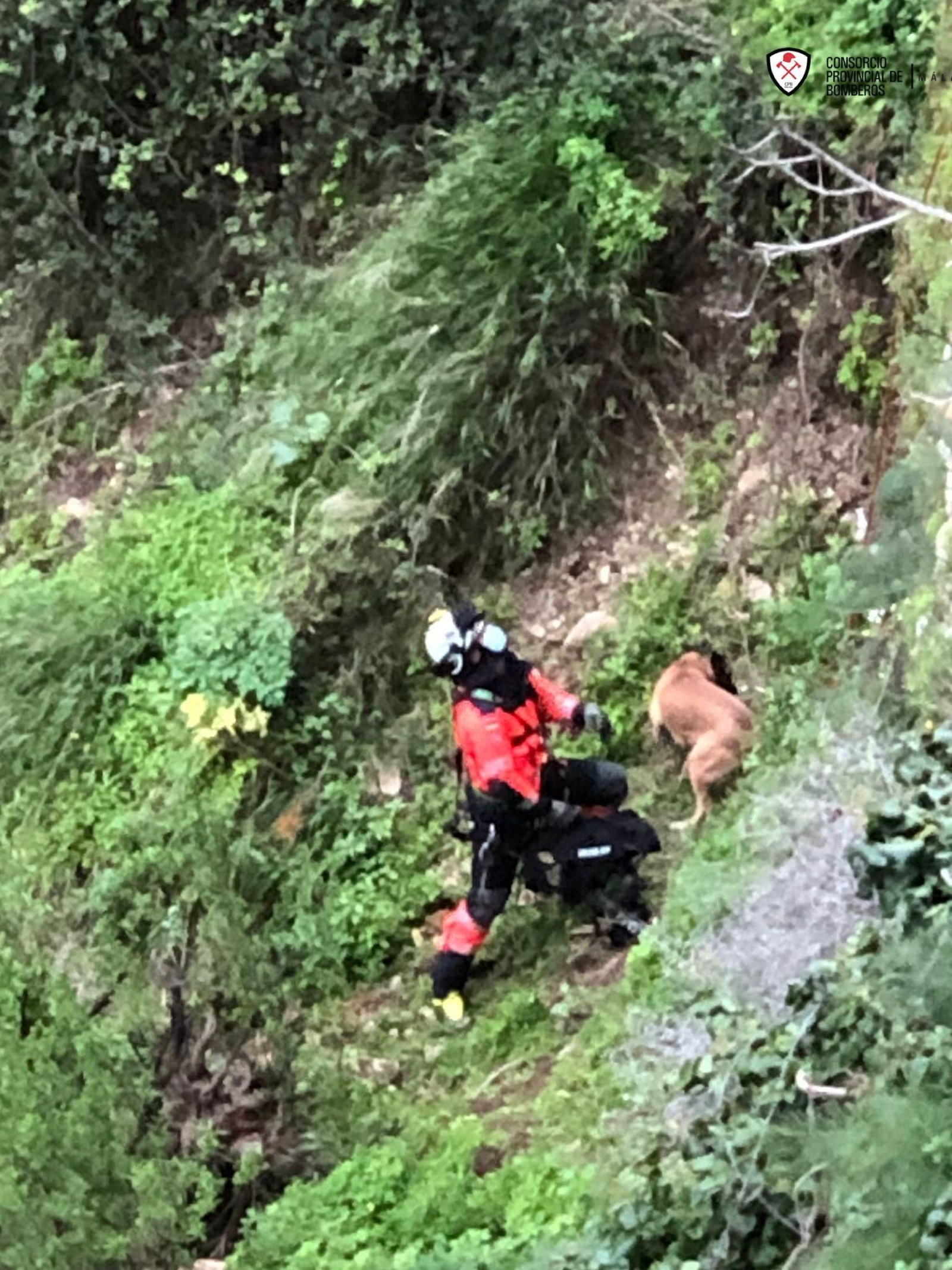 Los bomberos rescatan a un perro que cayó al Tajo de Ronda