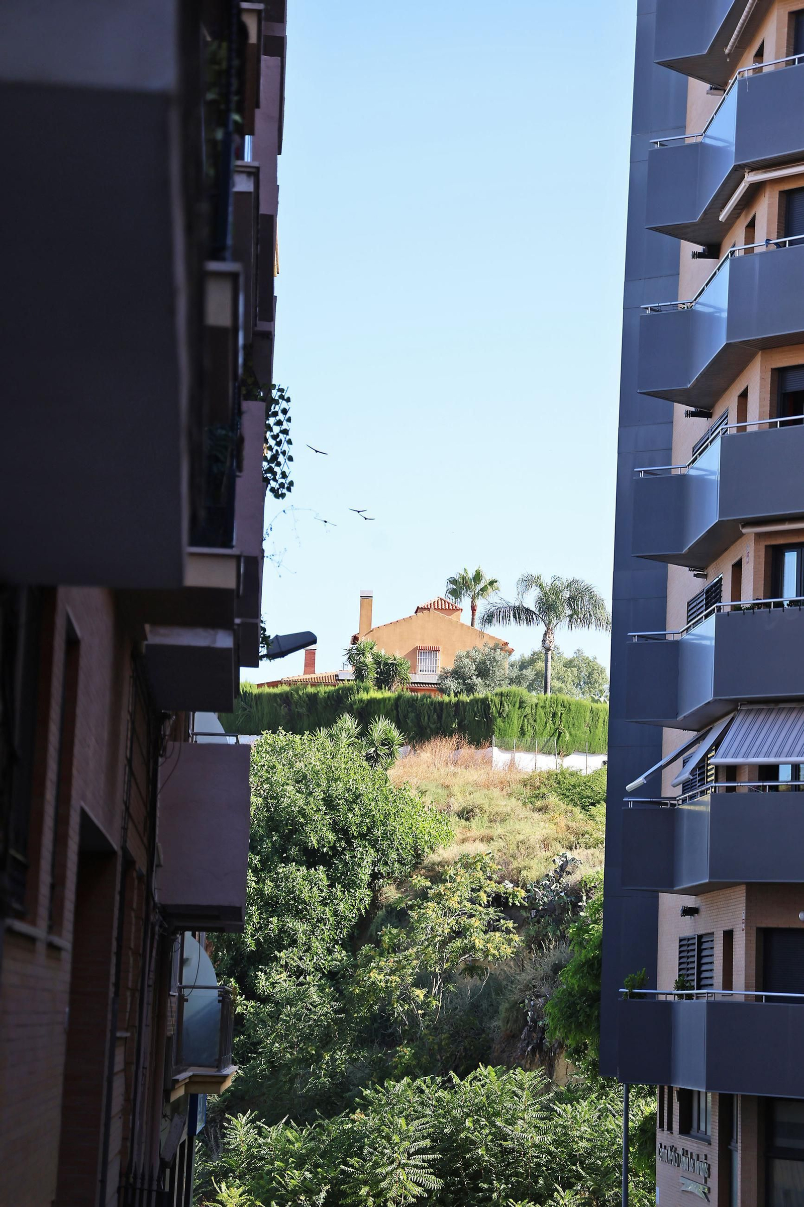 Las imágenes de la mañana de jueves en Huelva