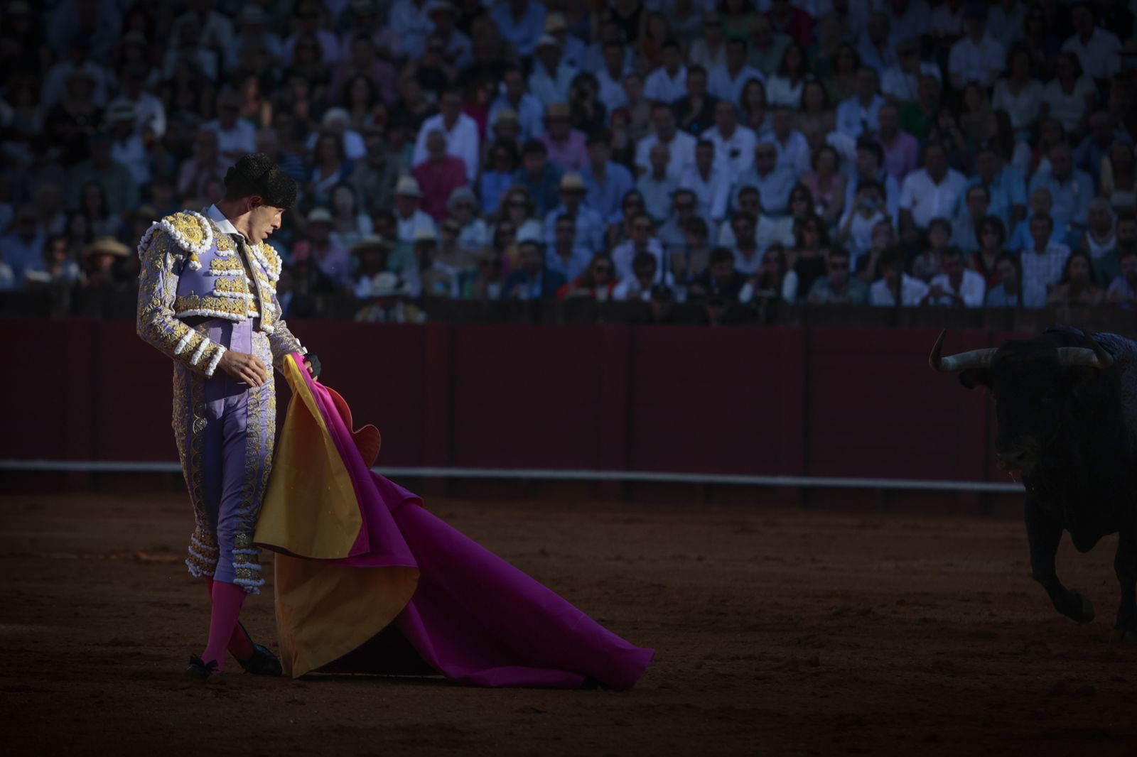 El triunfo de Castella en imágenes