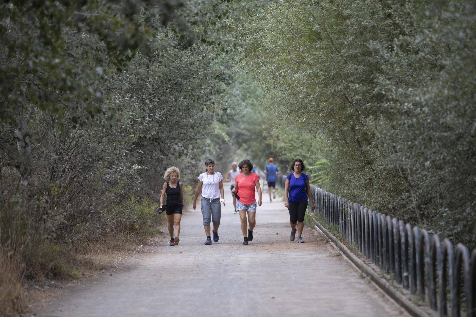 Ruta del Colesterol en Granada: cauces de los ríos Genil y Monachil