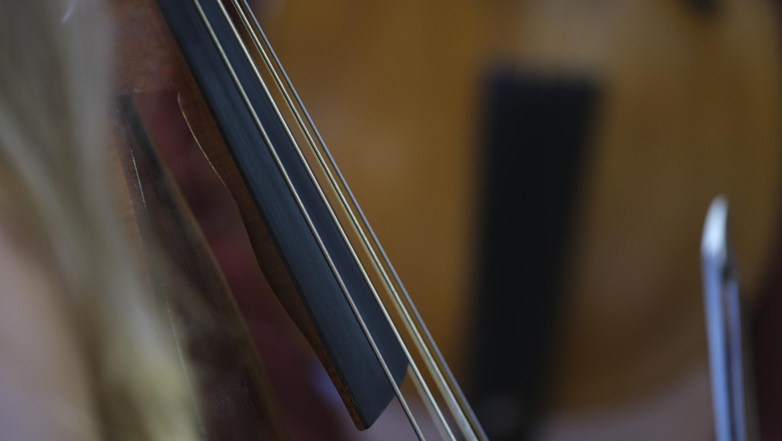 El curso de viola da gamba del Festival de Vélez Blanco, en imágenes