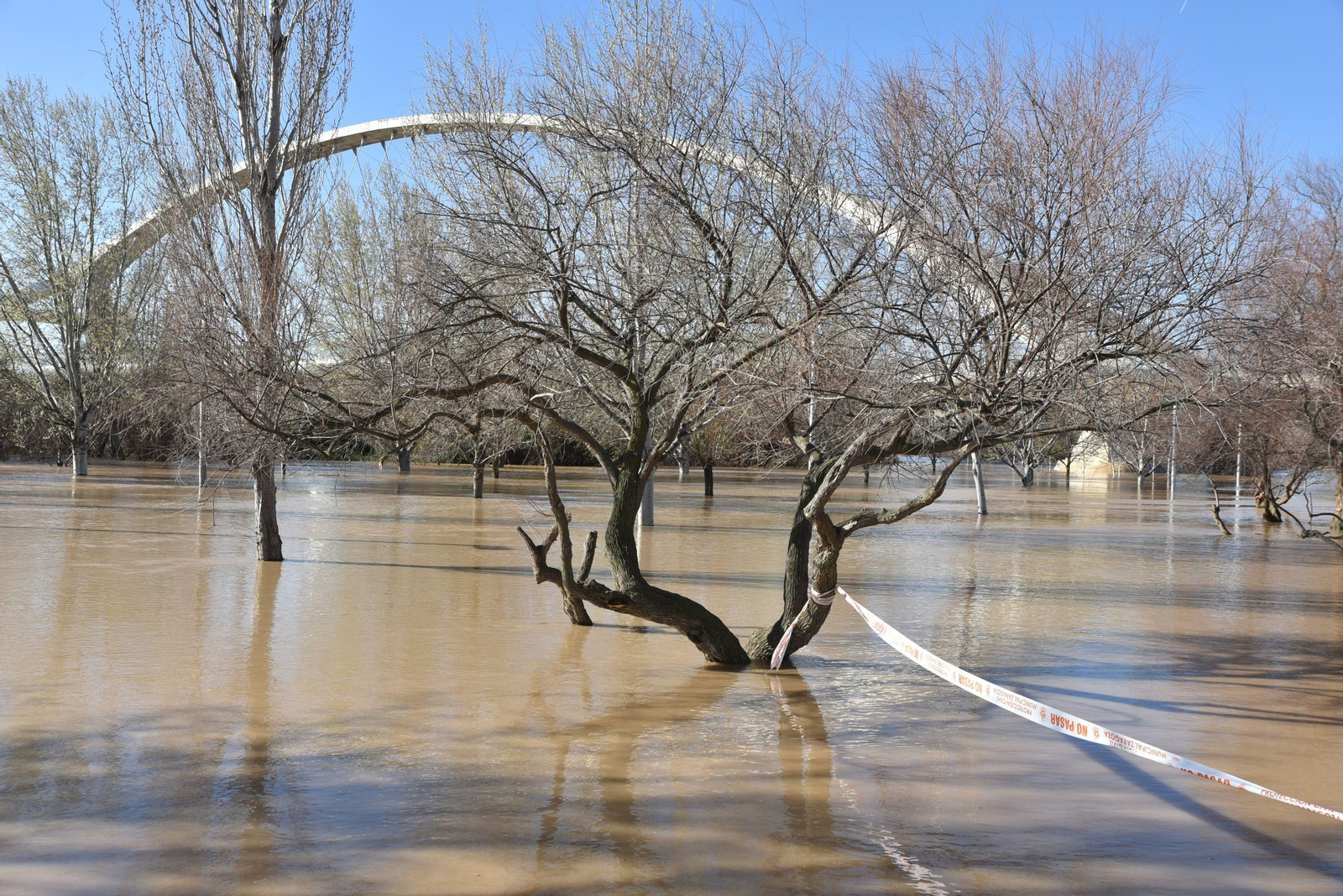 Imágenes de la crecida del río Ebro a su paso por Zaragoza