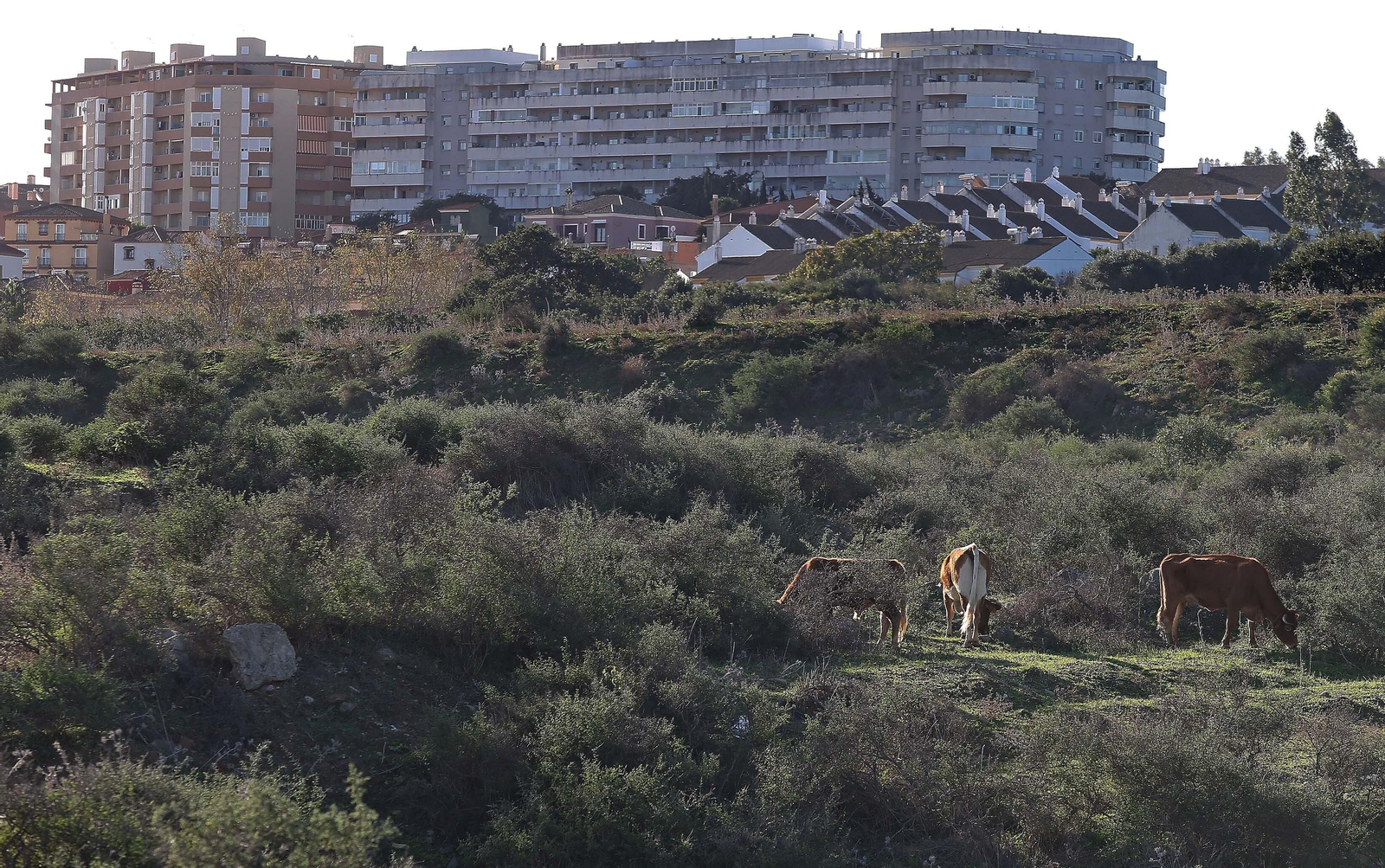 Este espacio verde en San Bernabé contará con una superficie equivalente a 87 campos de fútbol. Este espacio verde en San Bernabé contará con una superficie equivalente a 87 campos de fútbol.