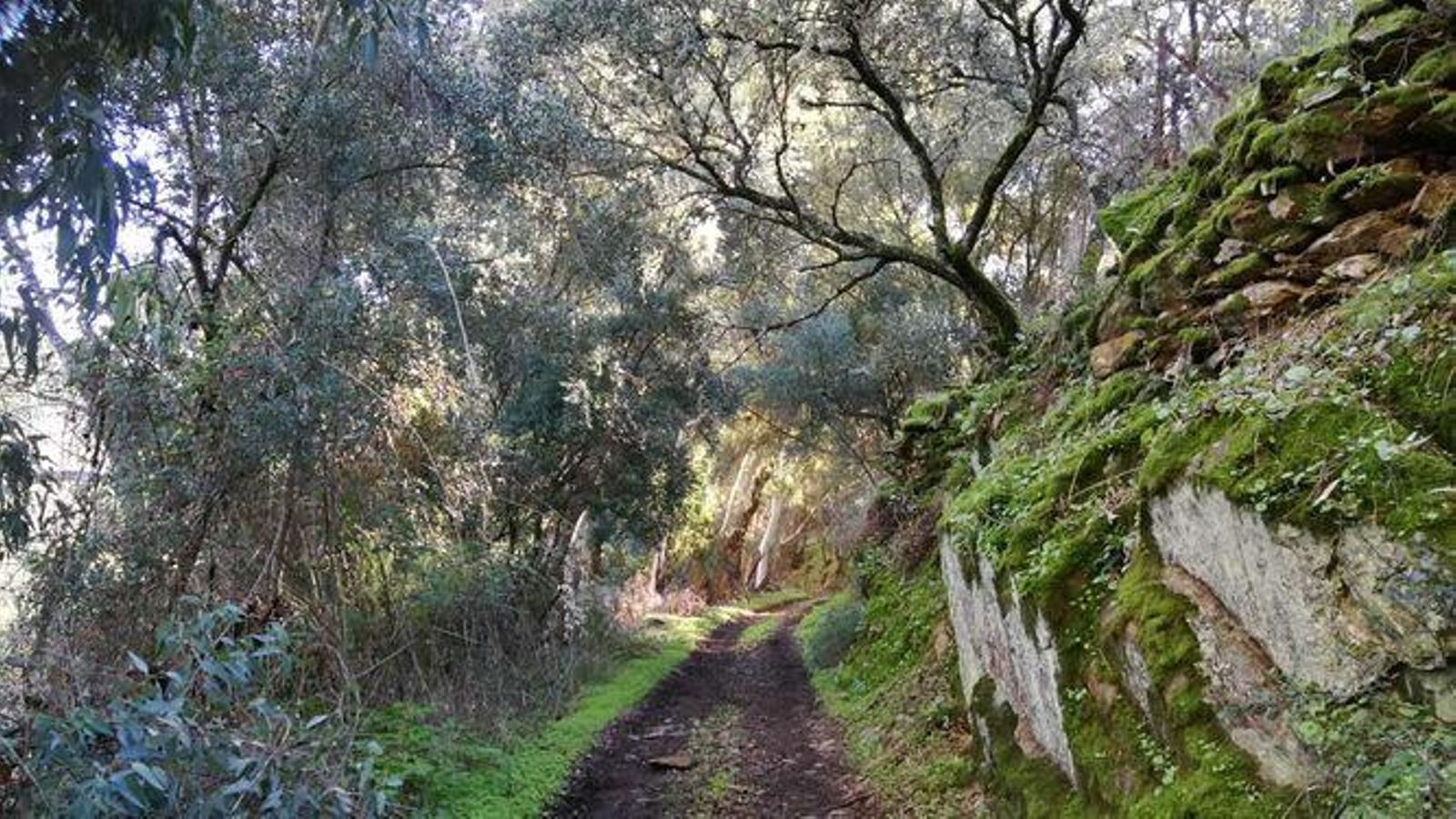 Ruta del contrabandista
