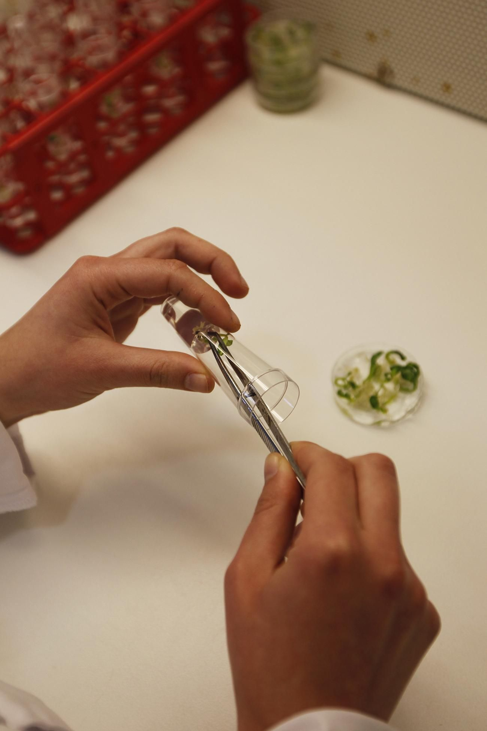 Fotogalería presentación resultados Bayer