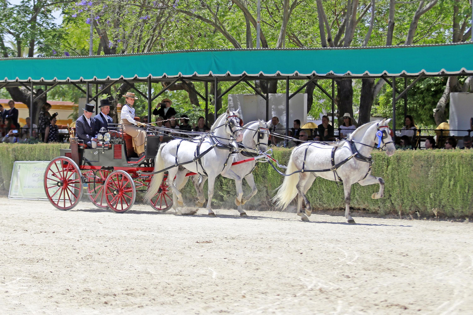 Trofeos de los concursos de Enganches y Morfológicos en la Feria de Jerez