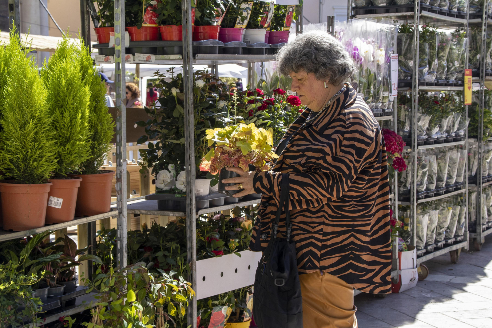 Las mejores imágenes de la Muestra de Primavera en Plaza de las Monjas, Huelva