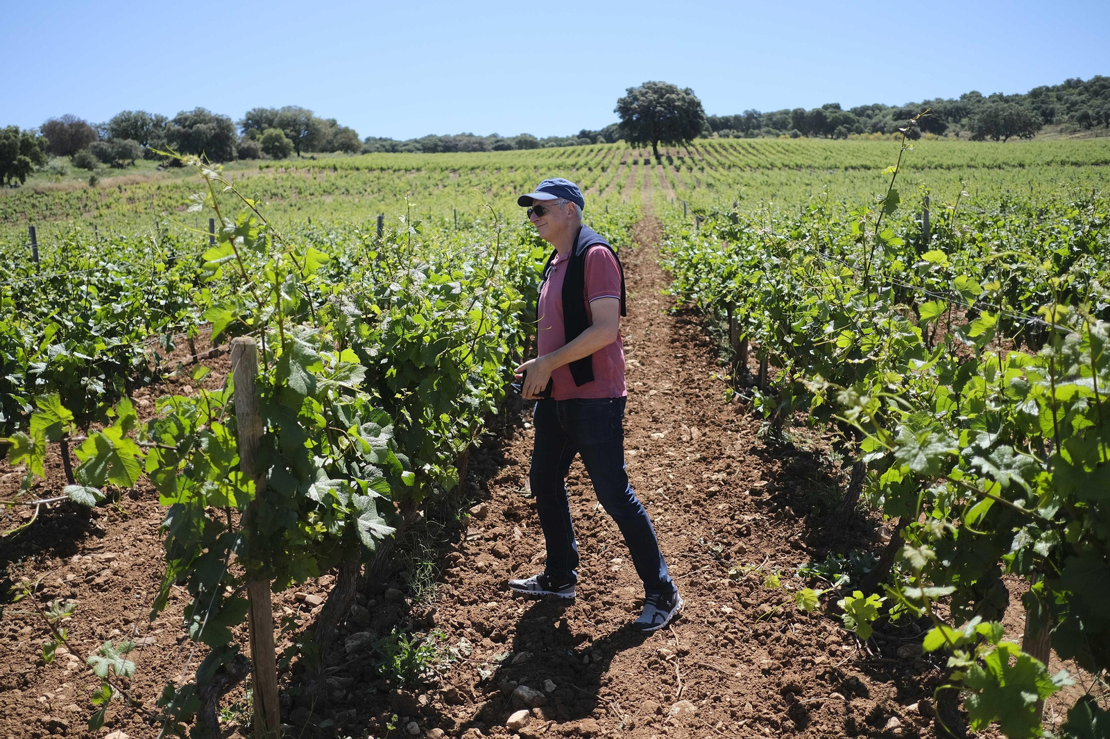El regreso del turismo extranjero a las bodegas rondeñas, en fotos