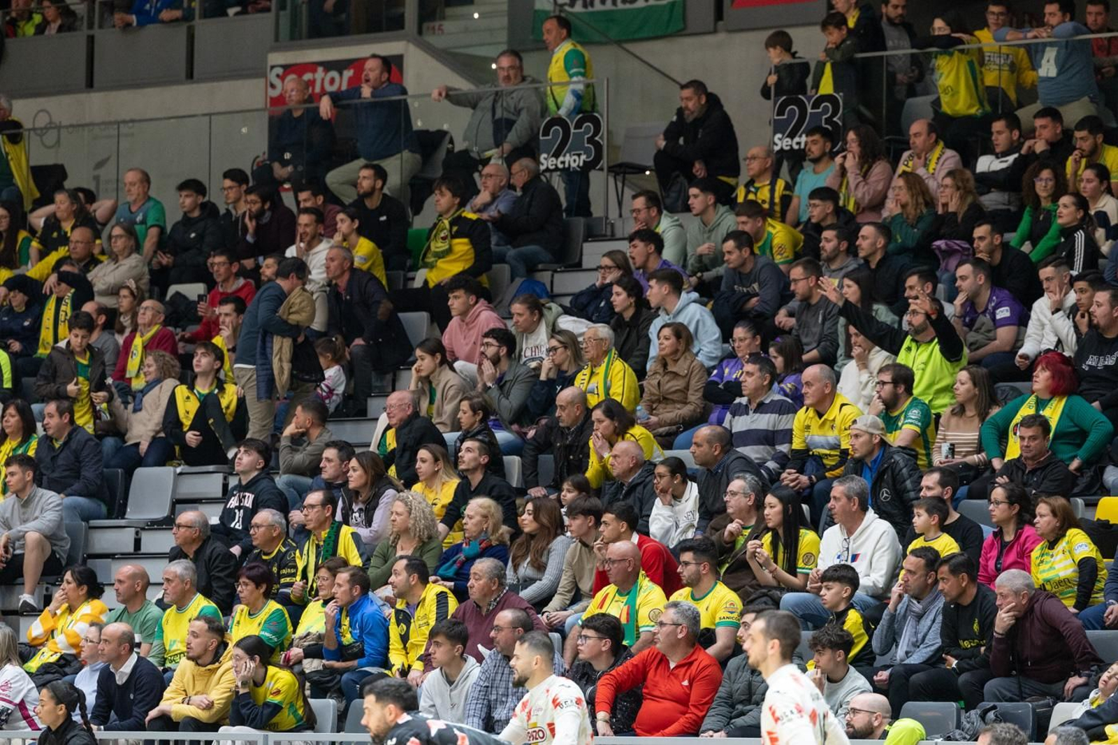 Las mejores fotos del empate entre Jaén Paraíso Interior FS y ElPozo Murcia