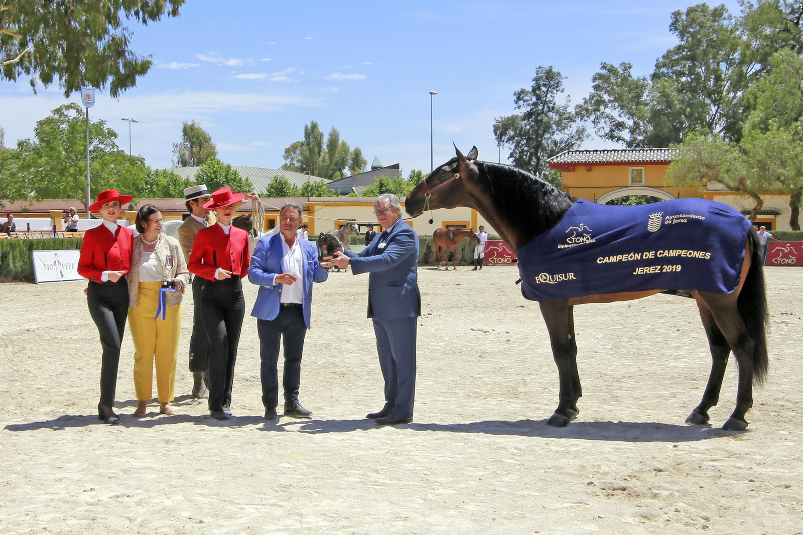 Trofeos de los concursos de Enganches y Morfológicos en la Feria de Jerez