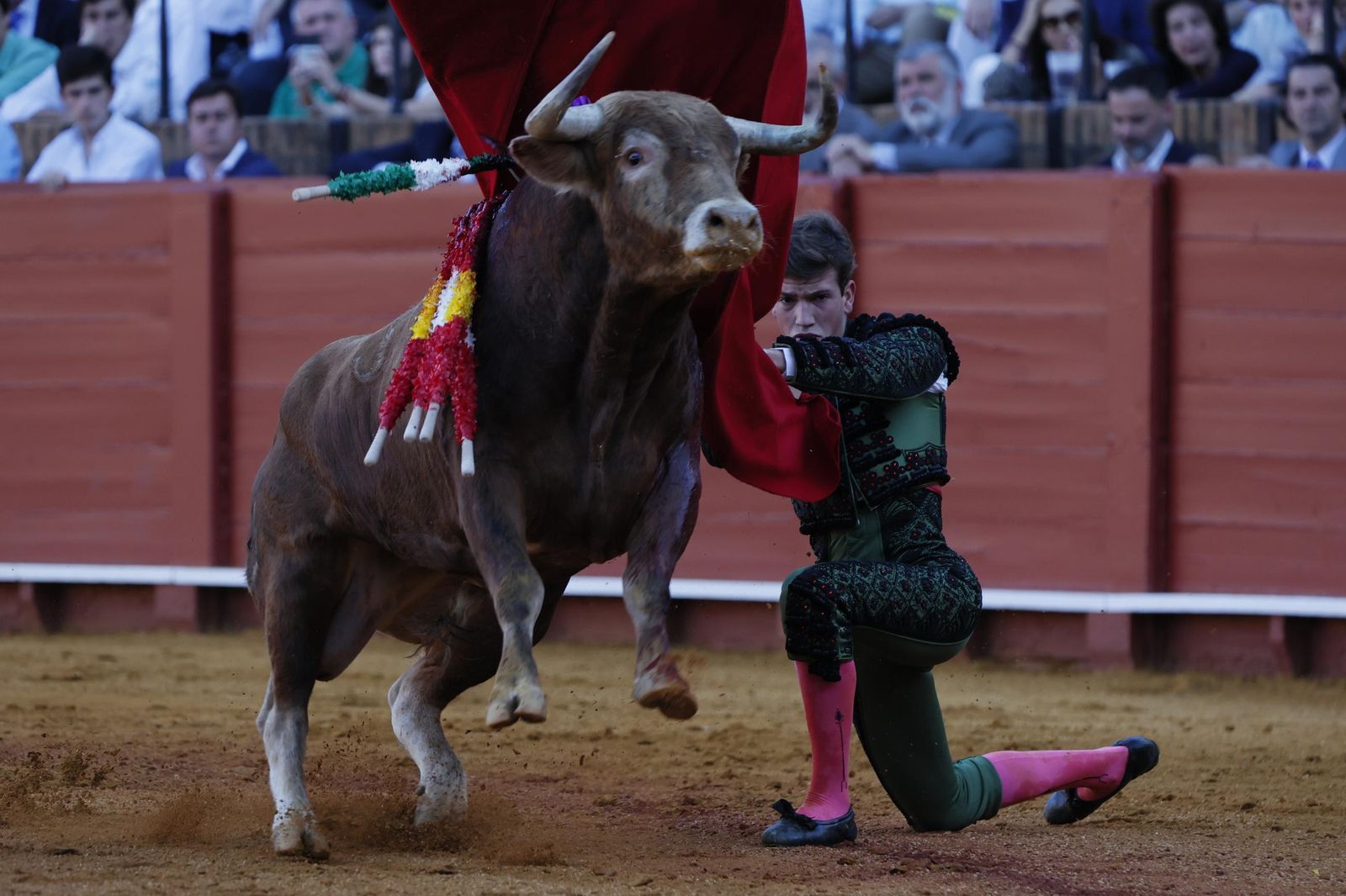 Las imágenes de la Novillada