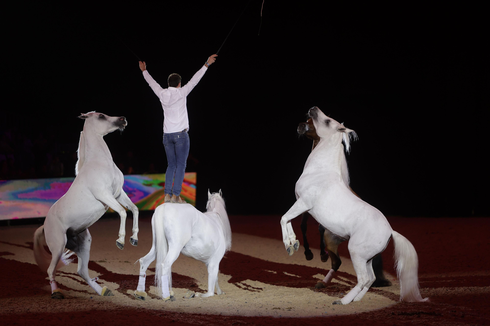 Las imágenes del espectáculo de  SICAB 2022