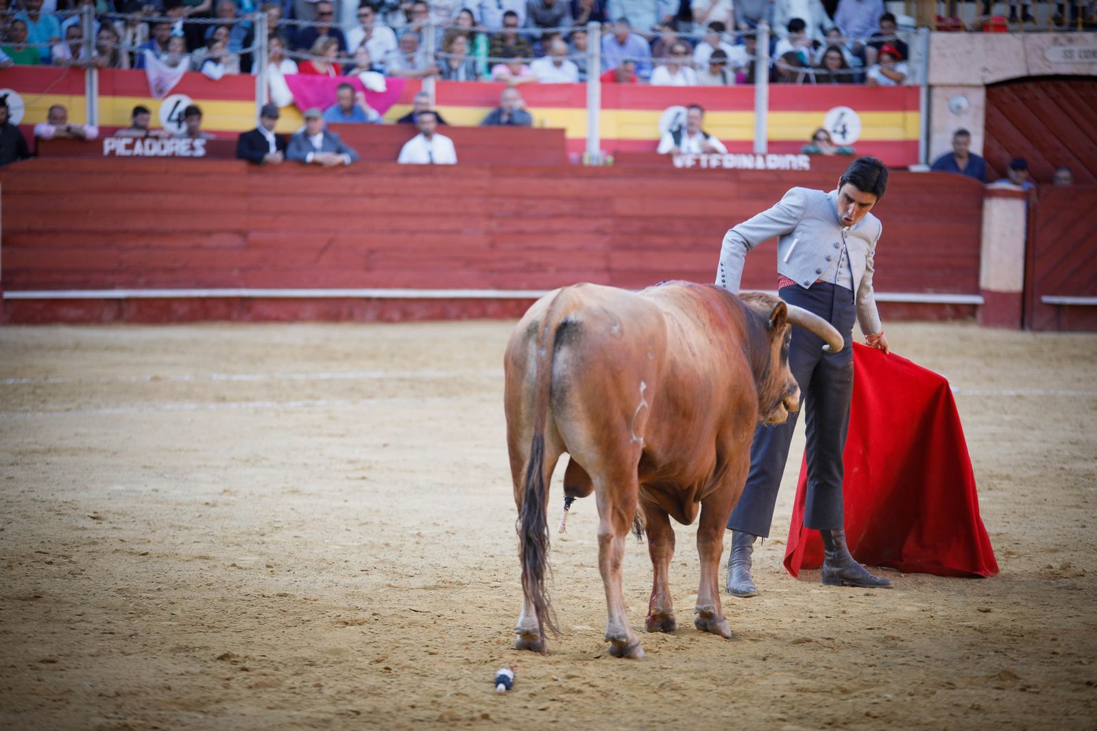 Imágenes del festival mixto lucha contra el cáncer