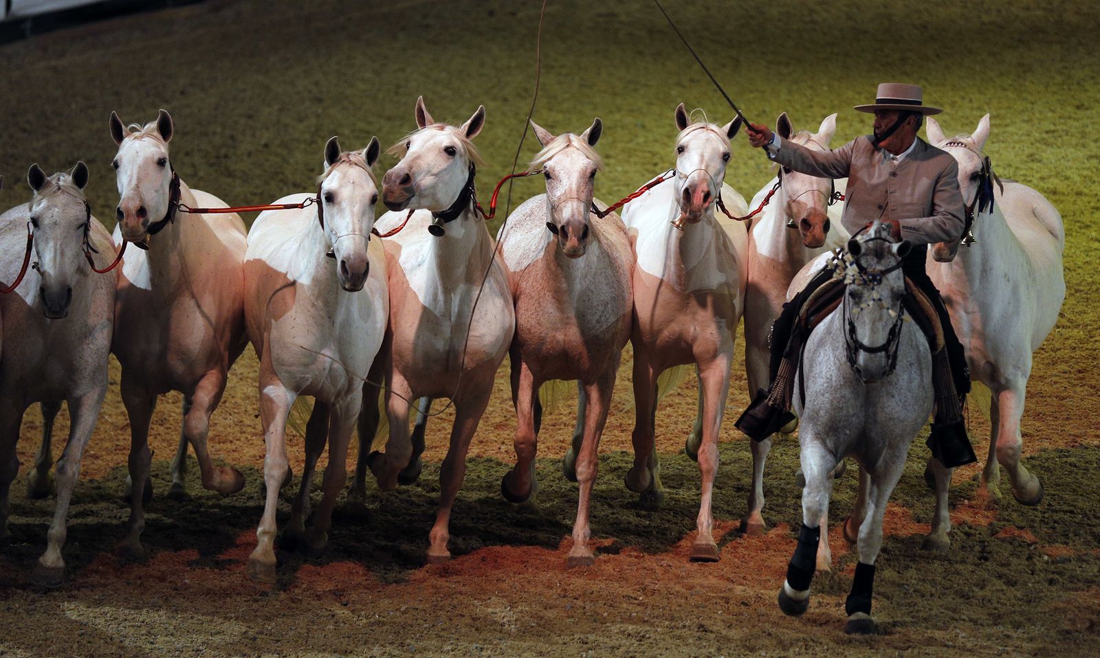 Inauguración de Sicab 2017
