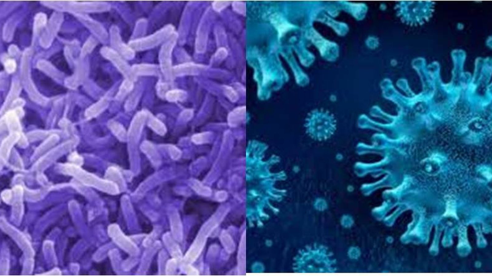 Del cólera al coronavirus.