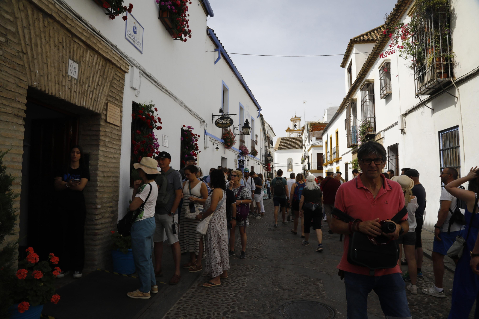 El primer día de Patios en Córdoba, en imágenes