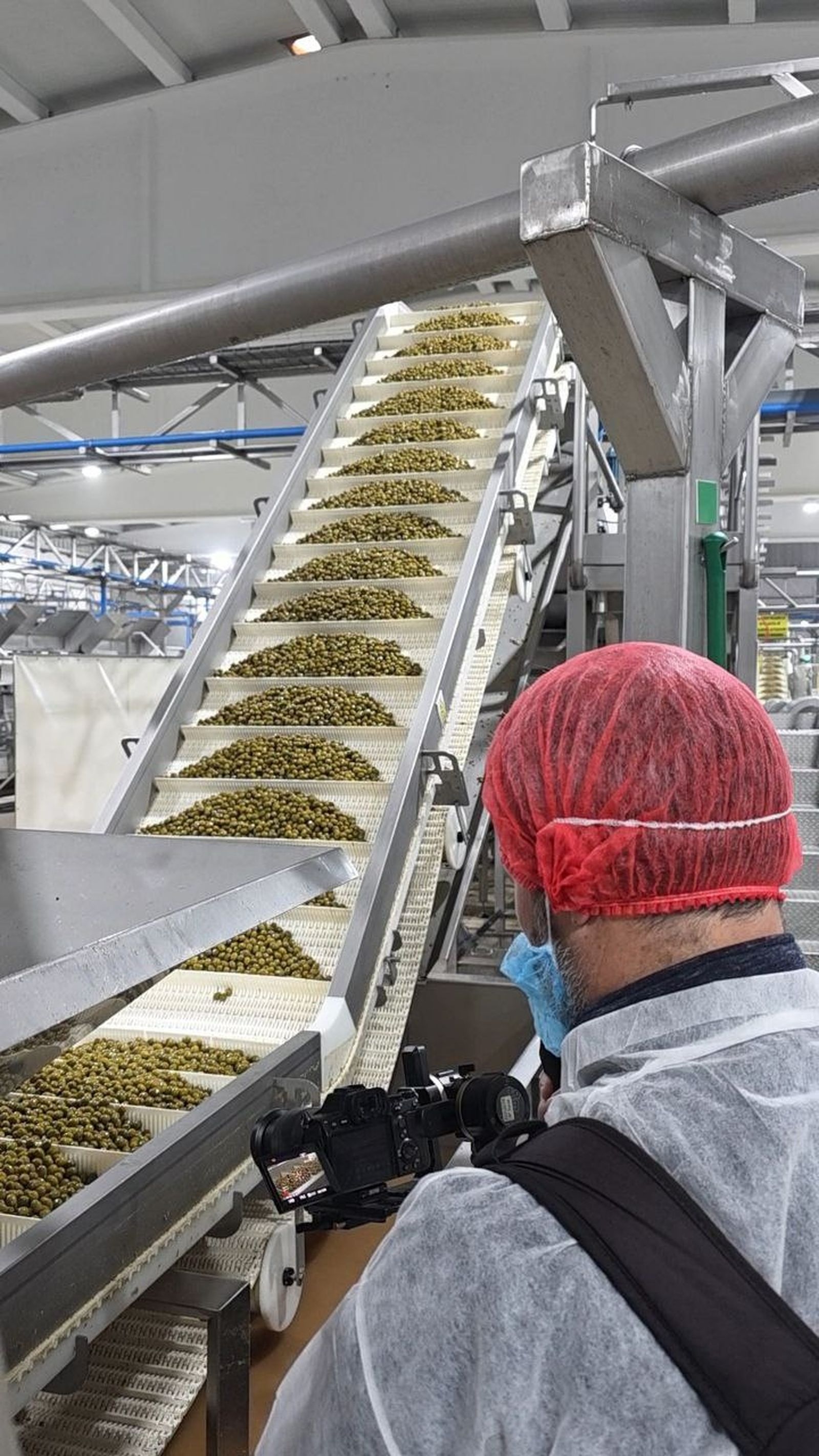 Se fomenta el consumo de productos cooperativos por sus valores nutricionales o sociales, entre otros.