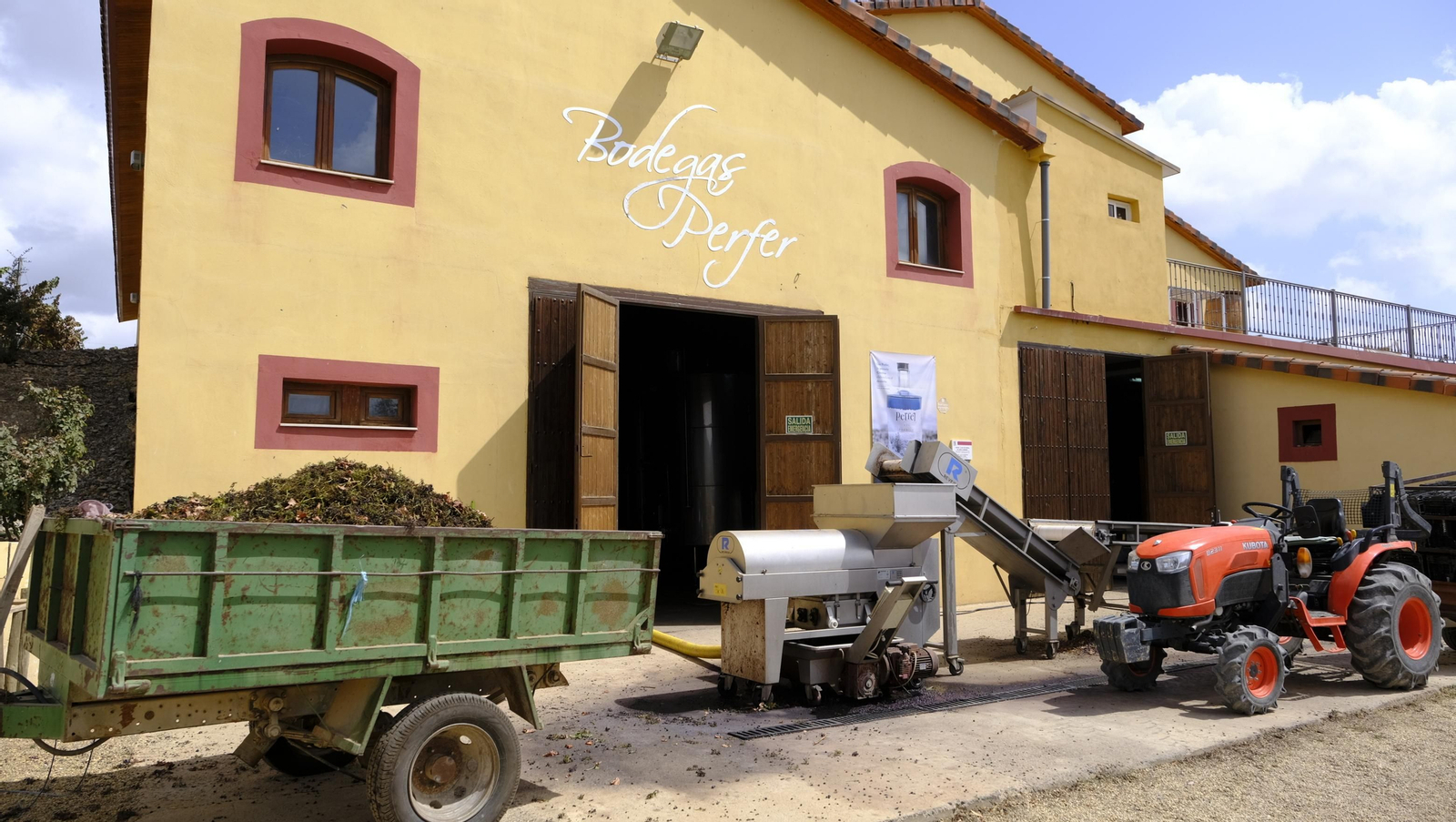 Llega la vendimia a las Bodegas Perfer, en Uleila del Campo