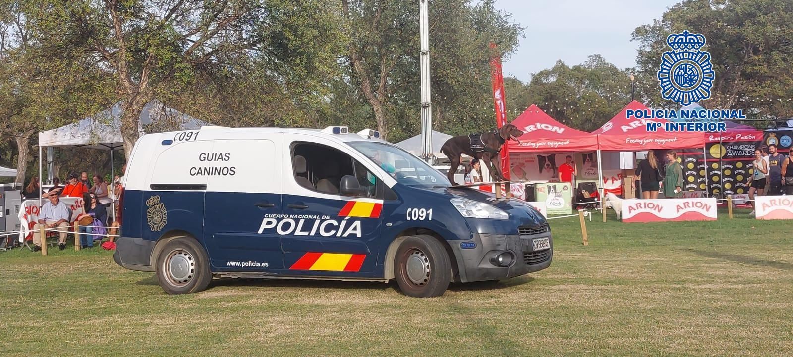 Exhibición de los perros de la Policía Nacional en el parque del Alamillo