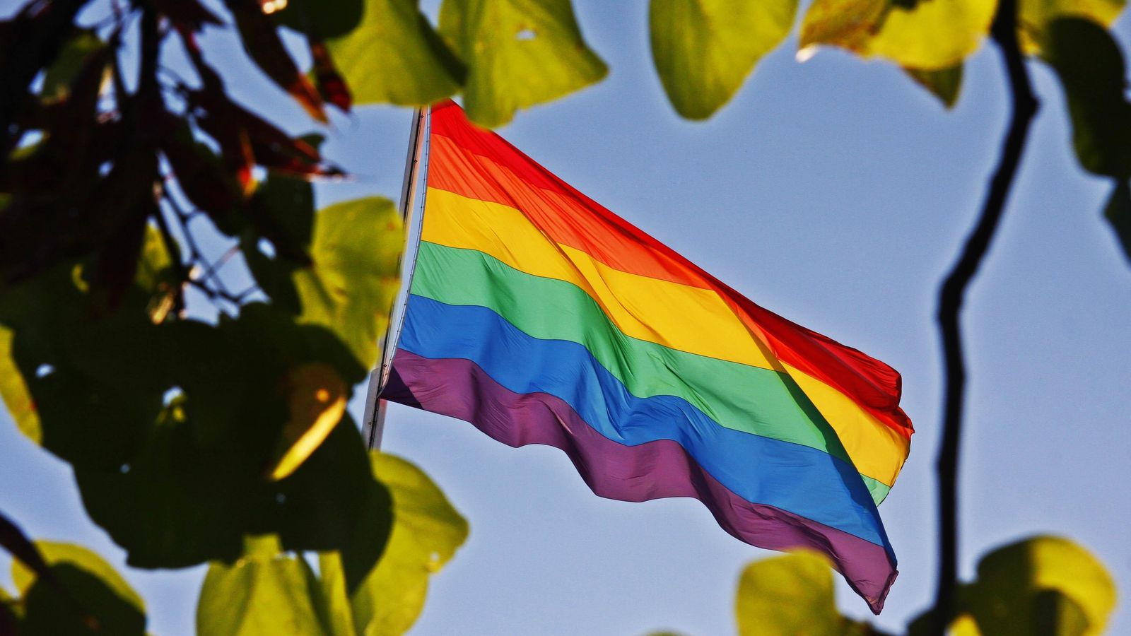 La bandera del colectivo gay.