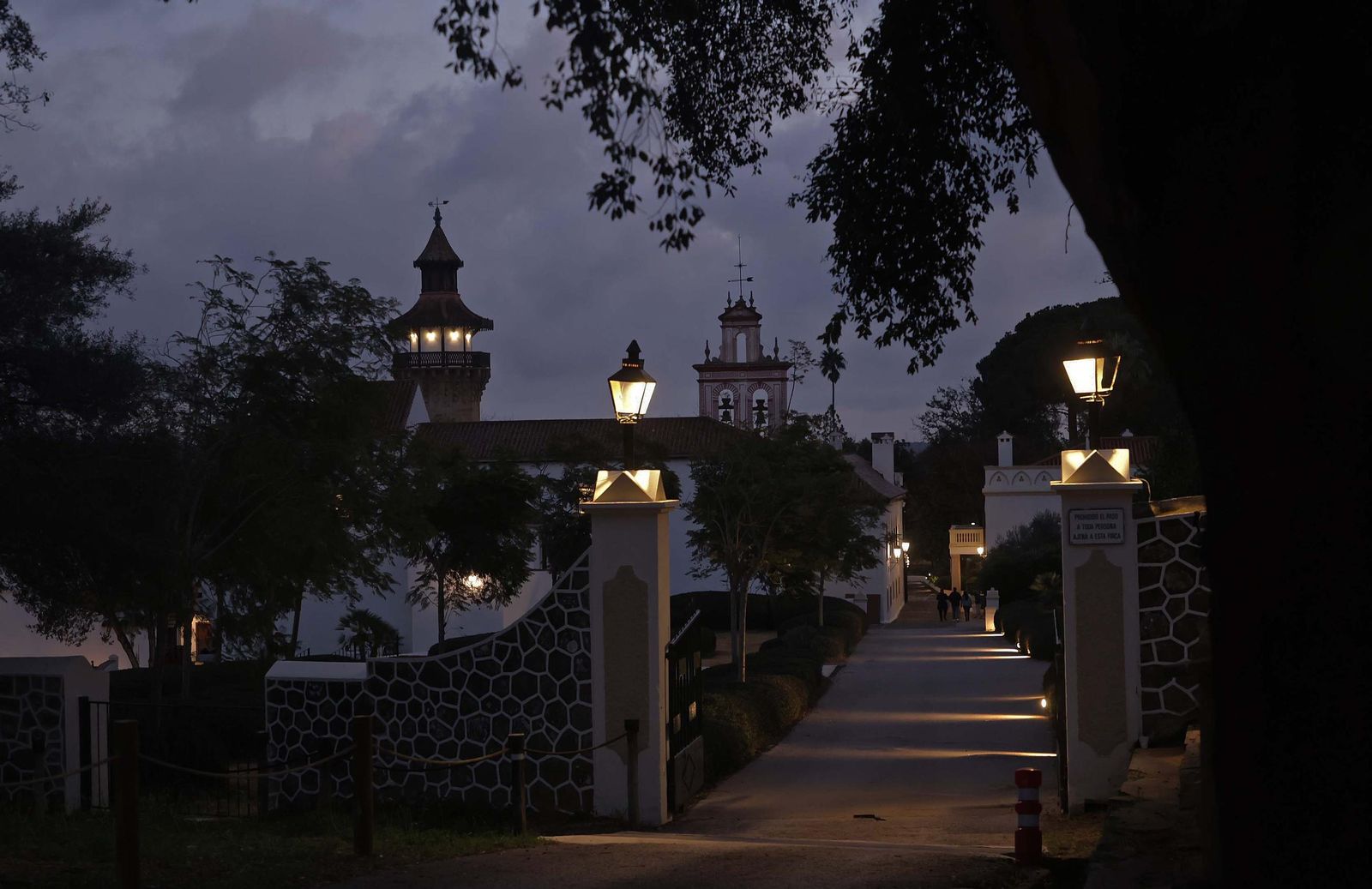 Fotos del concierto de Navidad de la Orquesta Andaluza en Castella