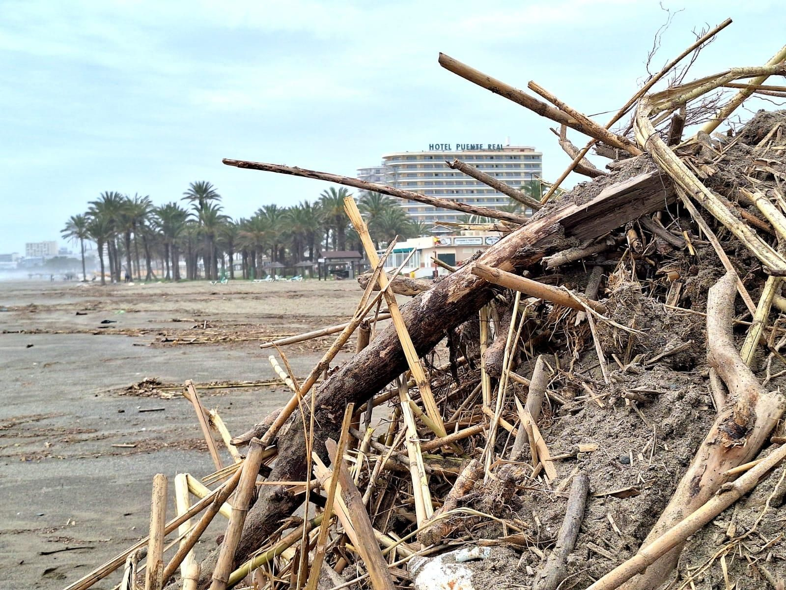 La retirada de cañas en las playas de litoral de Málaga, en imágenes