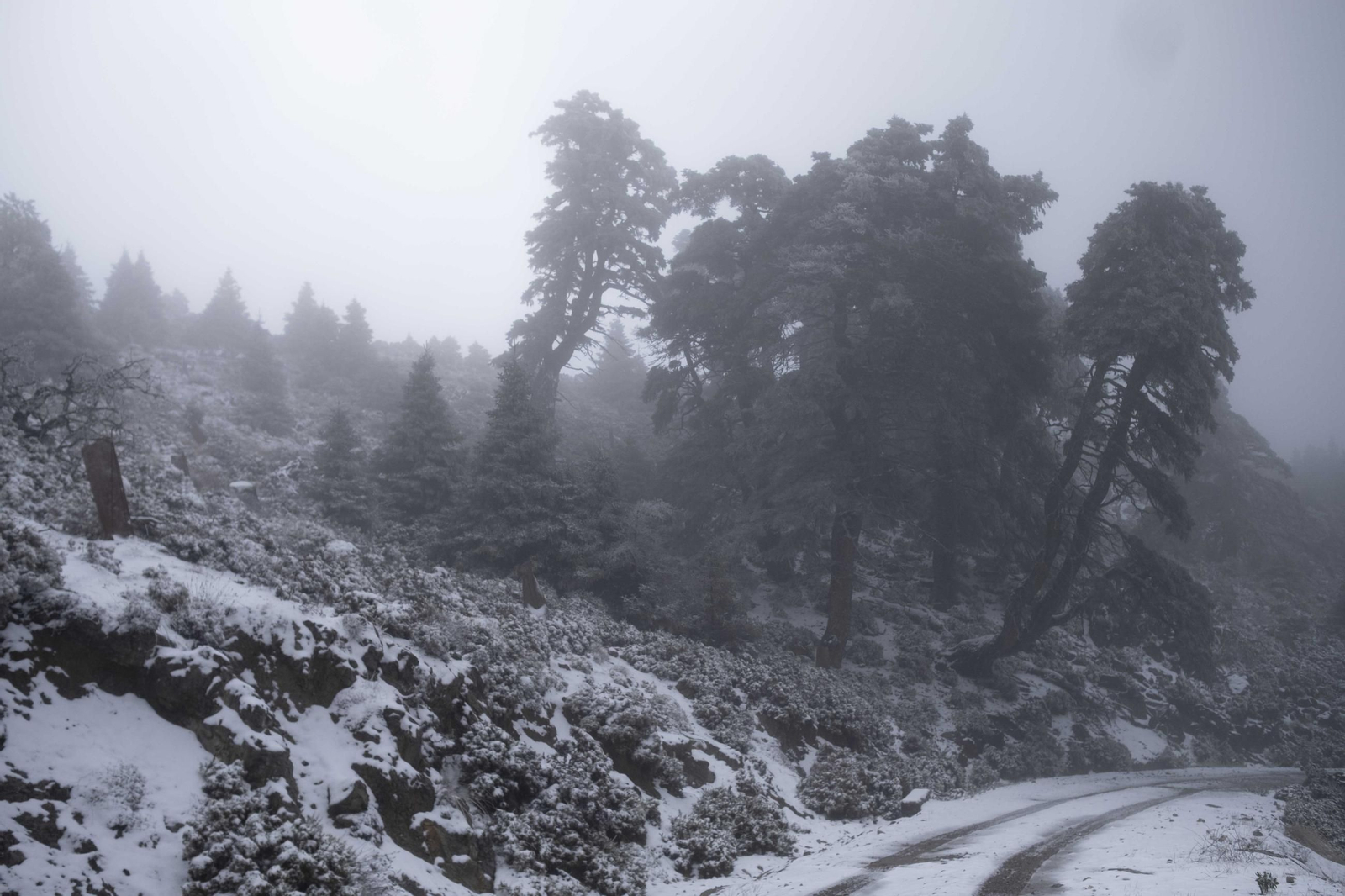 Nevada en la Sierra de las Nieves, en fotos