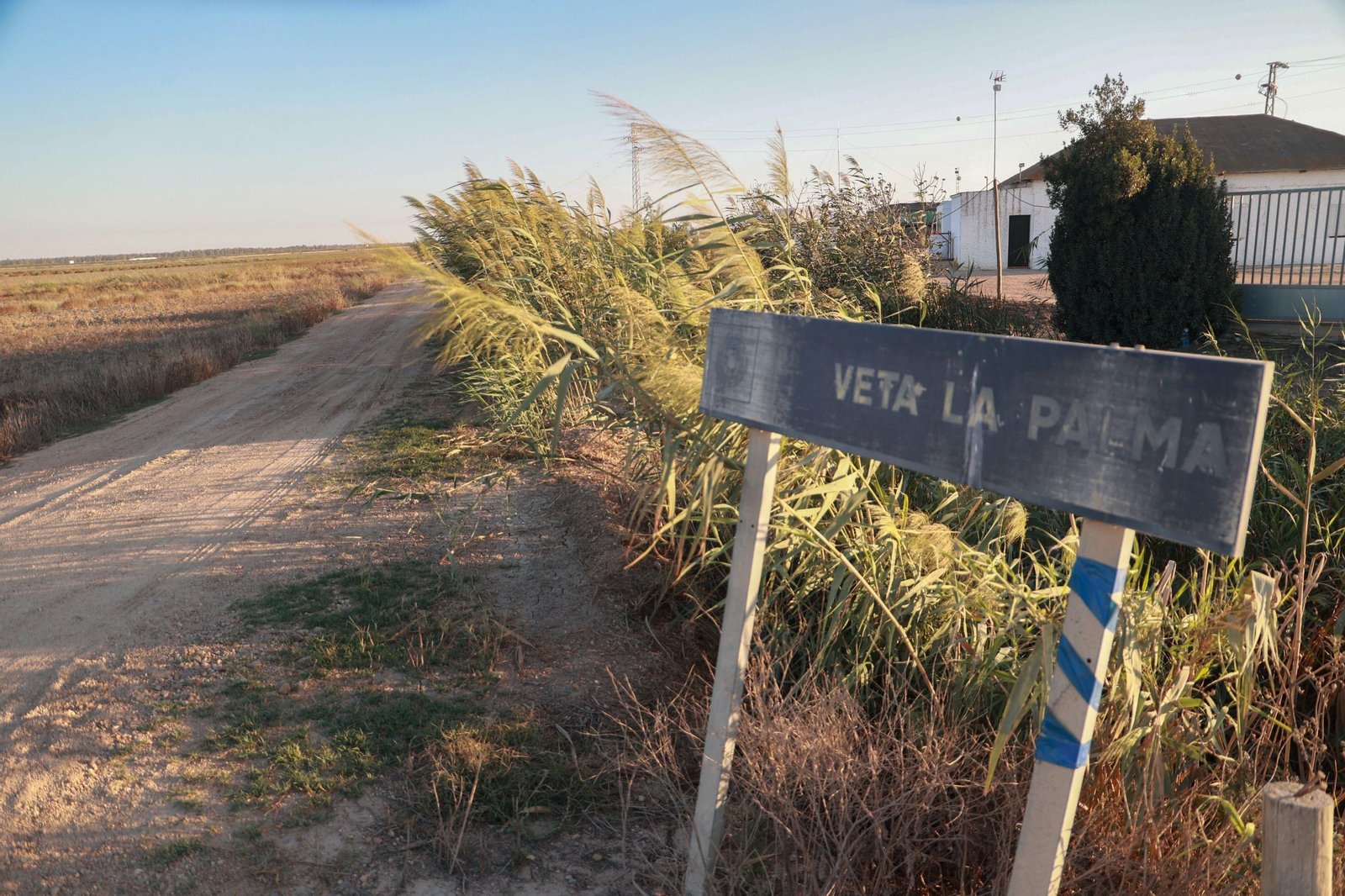 Entrada de la finca Veta La Palma, que la Junta de Andalucía va a comprar para ampliar el terreno de Doñana.