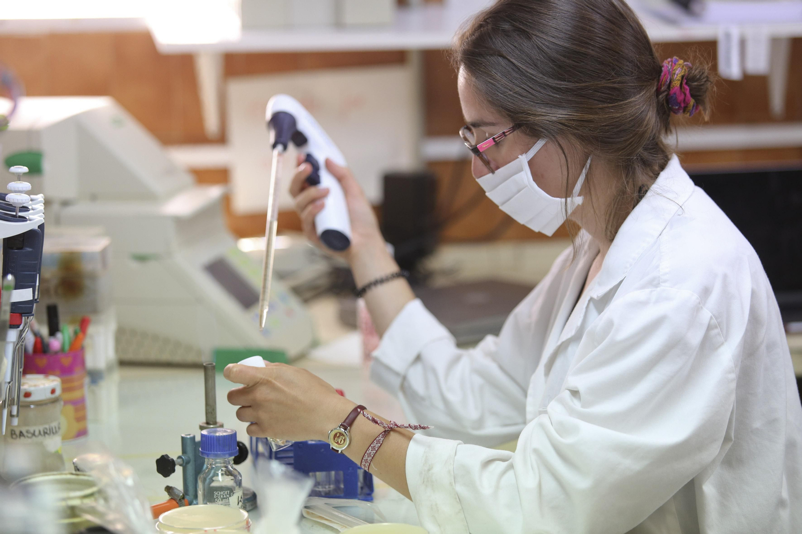 Una investigadora en uno de los laboratorios de la Facultad de Ciencias de la UMA. Una investigadora en uno de los laboratorios de la Facultad de Ciencias de la UMA.