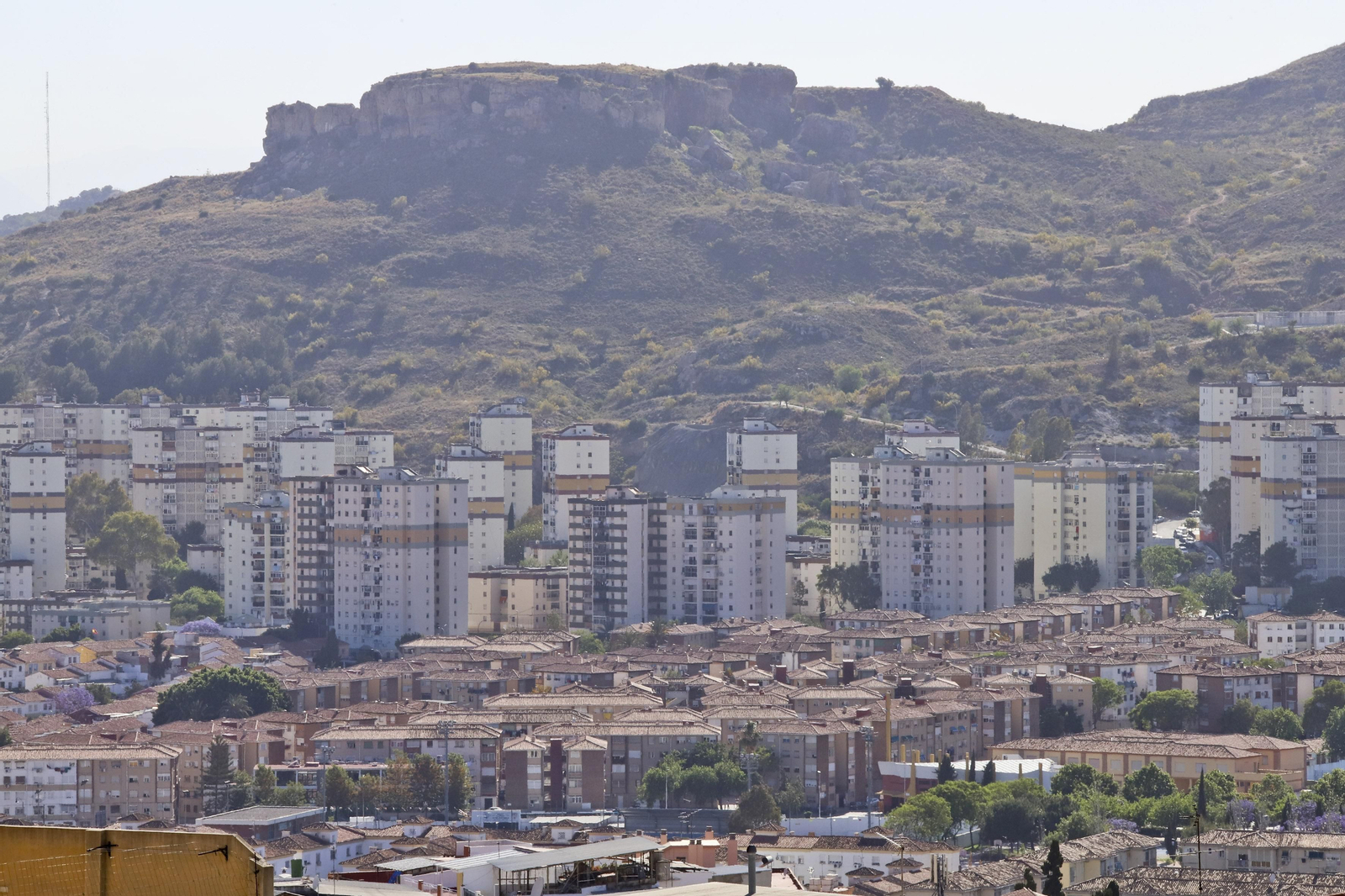 Las fotos del distrito Palma-Palmilla