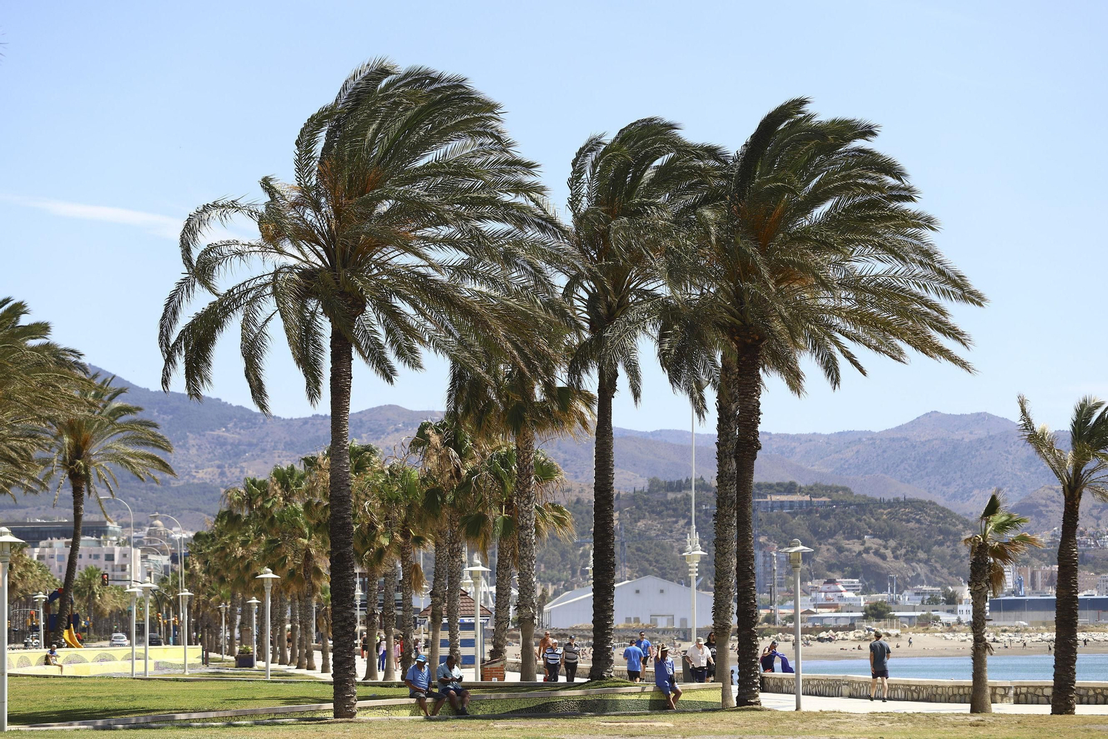 Vistas del paseo marítimo de Málaga. Vistas del paseo marítimo de Málaga.
