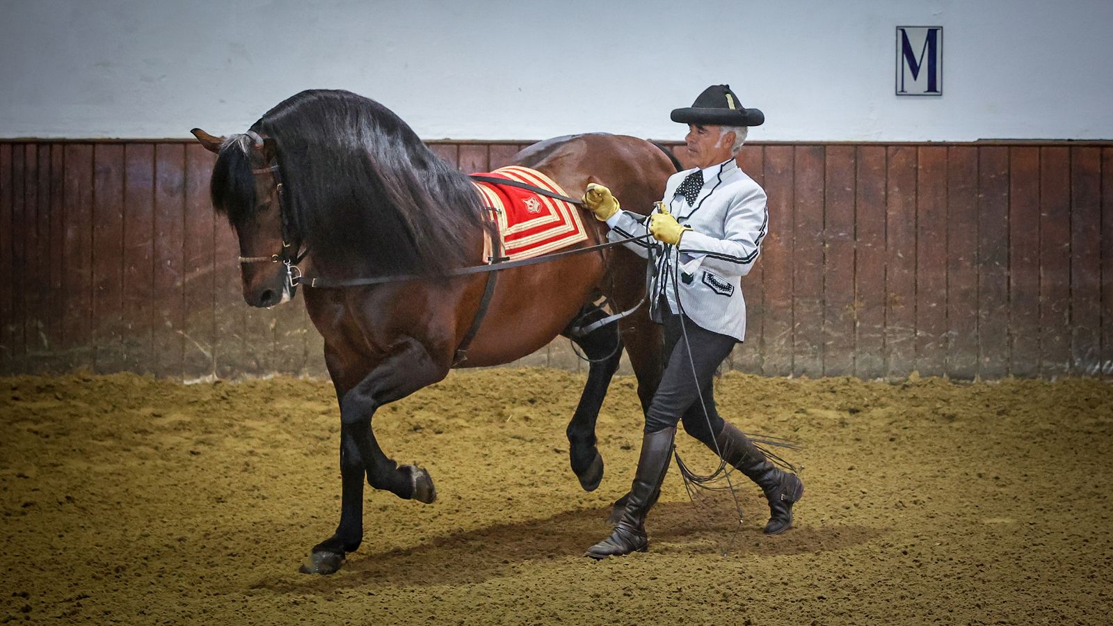 Ruiz y Yente, en el número de riendas largas.