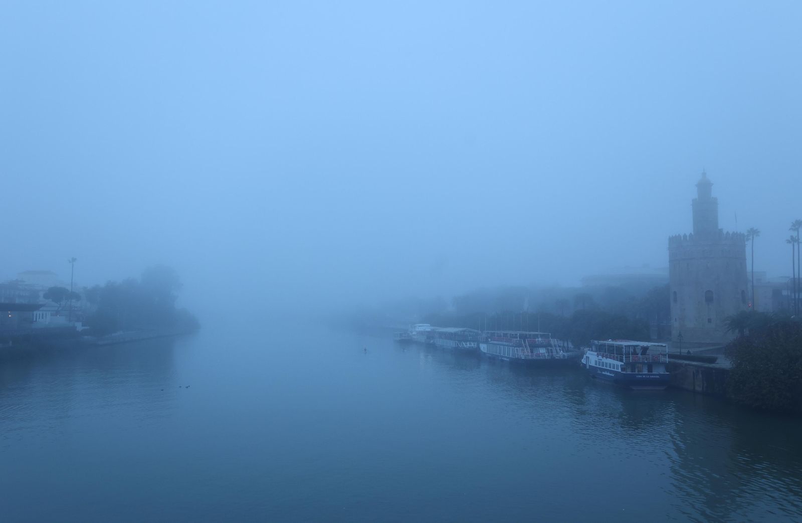 Las imágenes de la niebla en Sevilla
