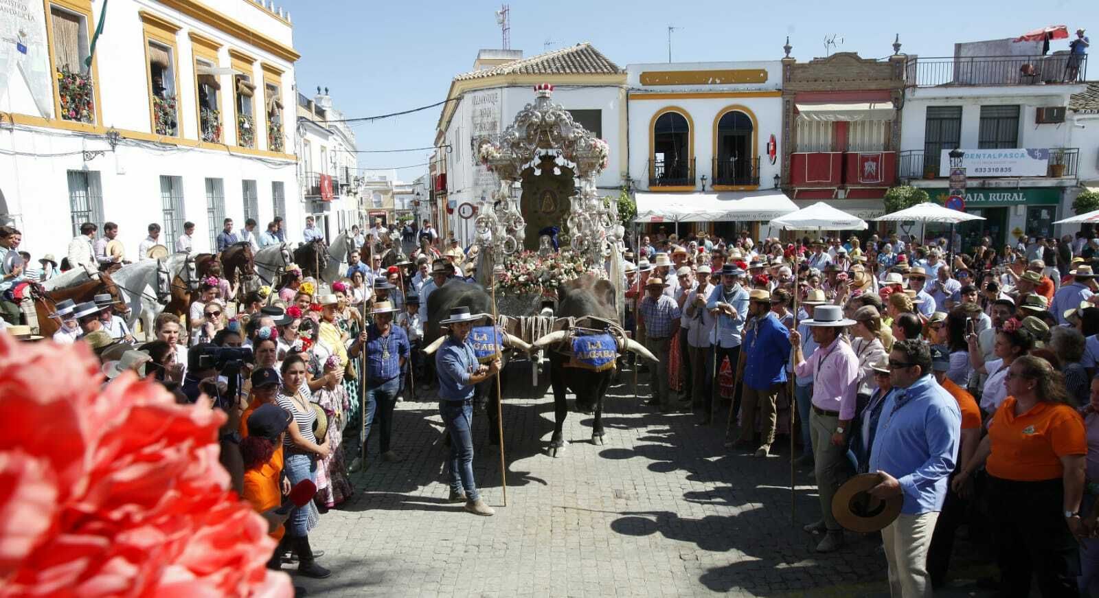 El paso de las hermandades del Rocío por Villamanrique, en imágenes