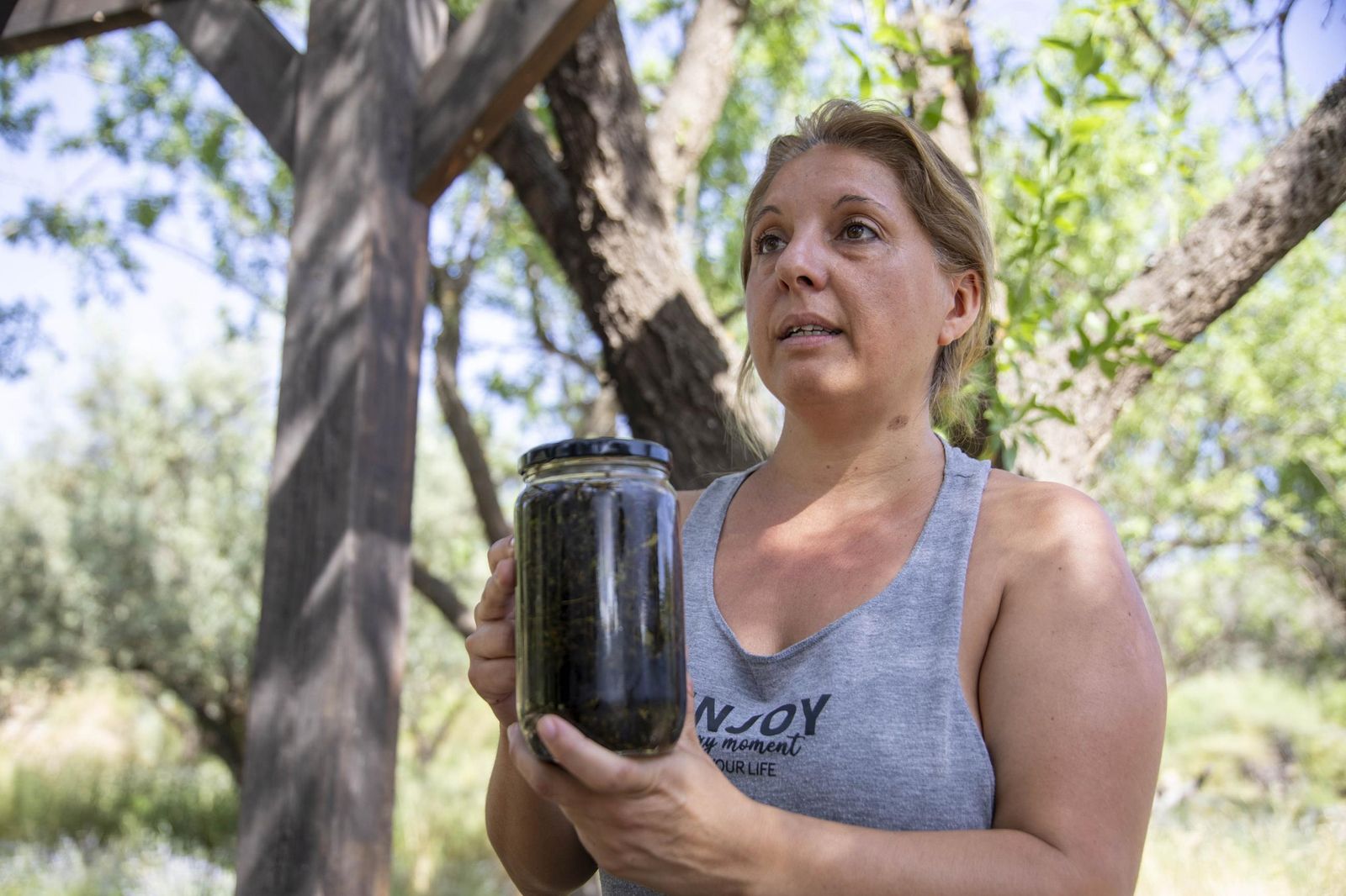 El jardin de lavandas en Benecid