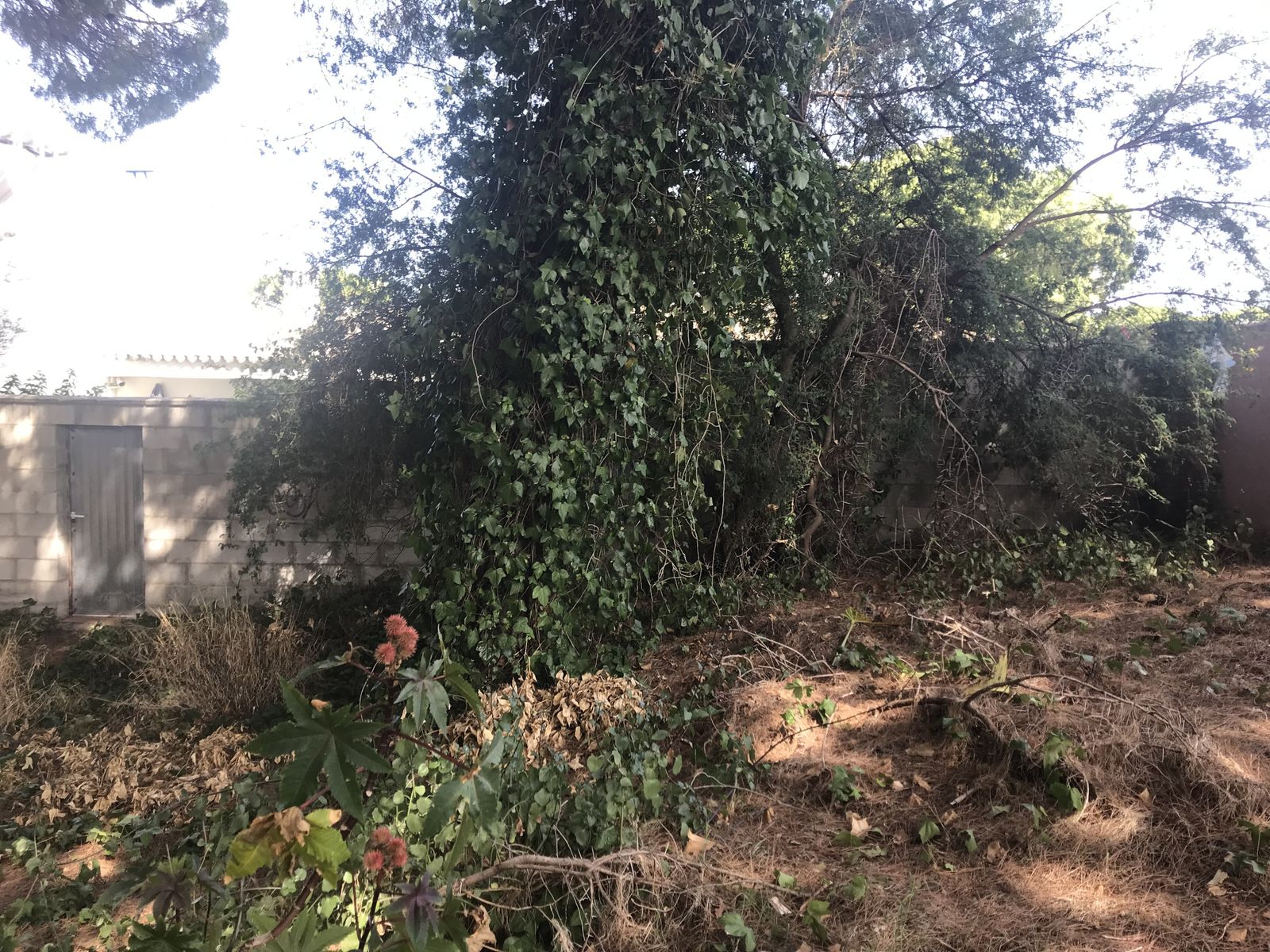 Una imagen del monte público que linda con la urbanización.