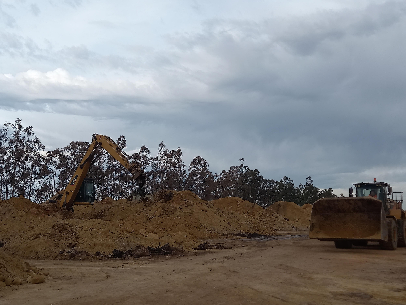 Los trabajos en las pilas de biomasa de Magnon en Huelva.